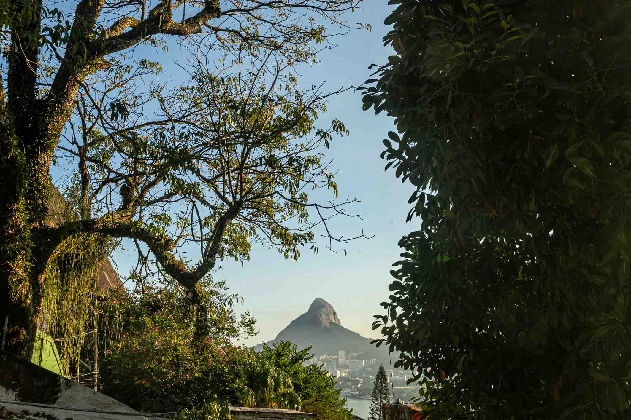  Nature connected residence with privileged views. - 物件實景
