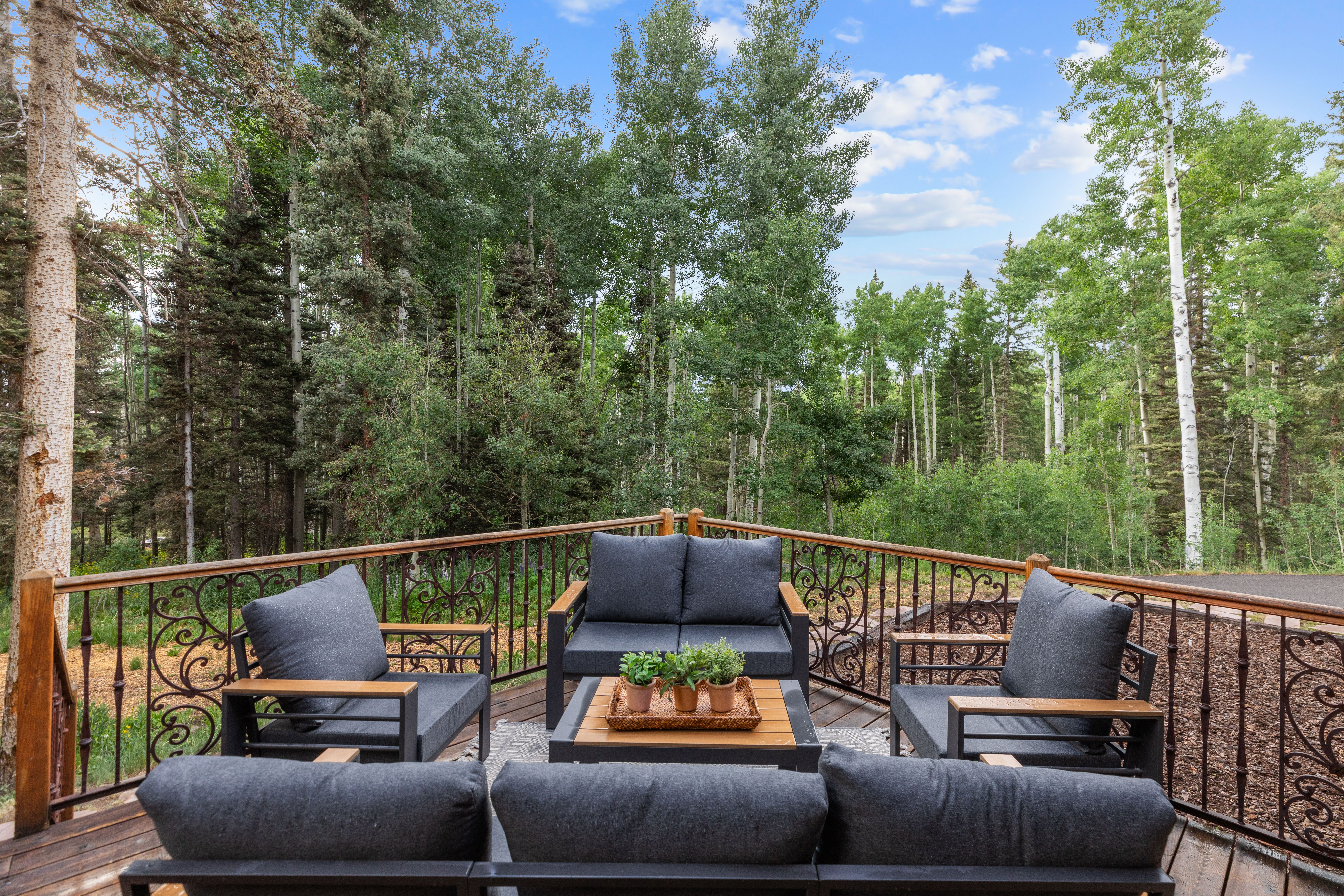  Rustic Western + Modern Telluride Home - 物件實景