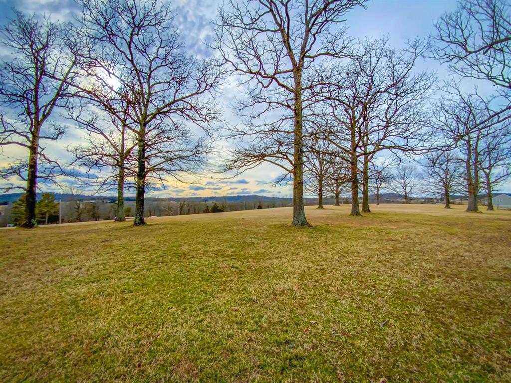 Omaha, Arkansas, 72662, United States, 4 Bedrooms Bedrooms, ,4 BathroomsBathrooms,Residential,For Sale,1922078