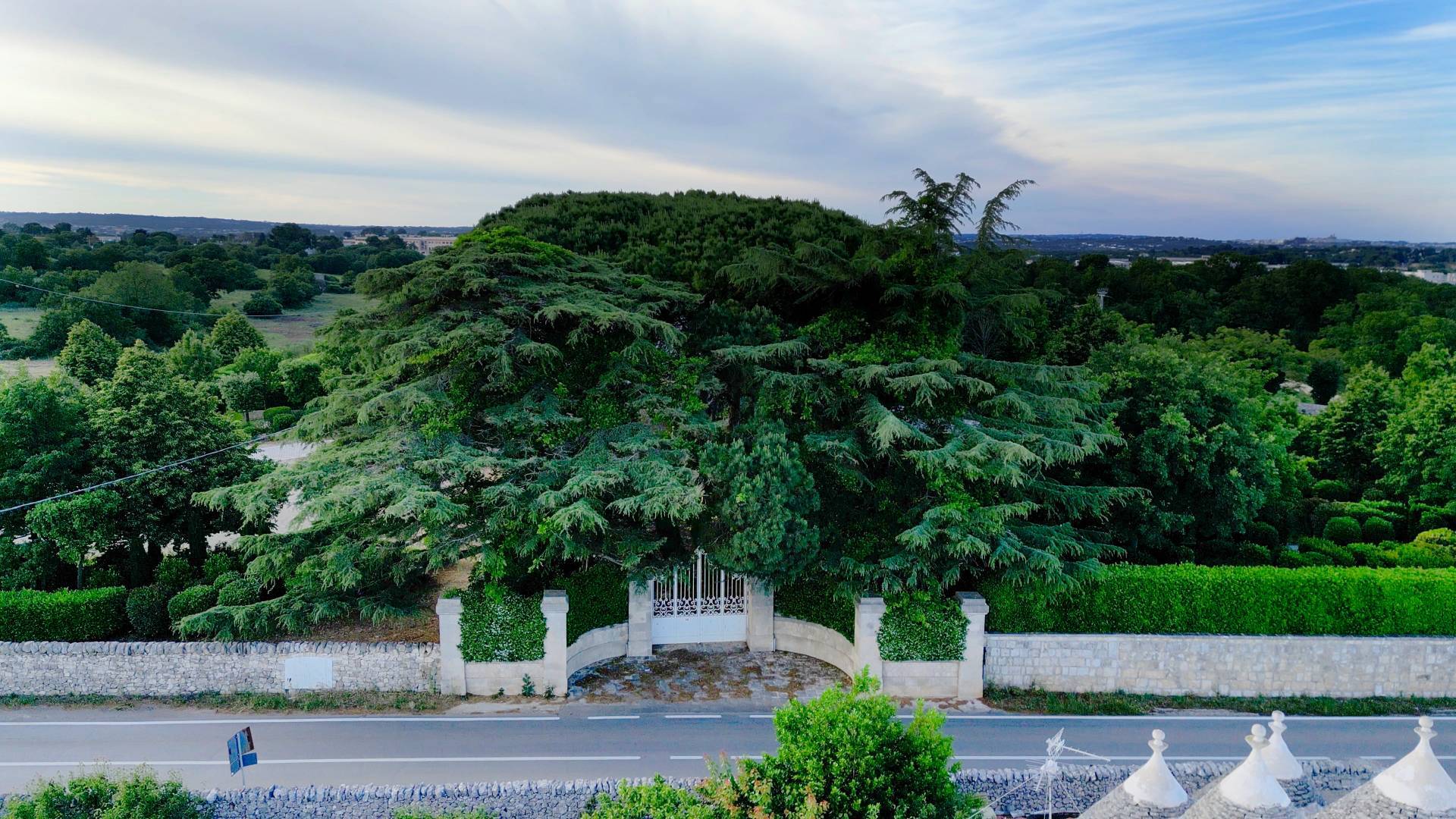 Martina Franca, Taranto, 74015, IT, 9 Bedrooms Bedrooms, ,12 BathroomsBathrooms,Residential,For Sale,1947823