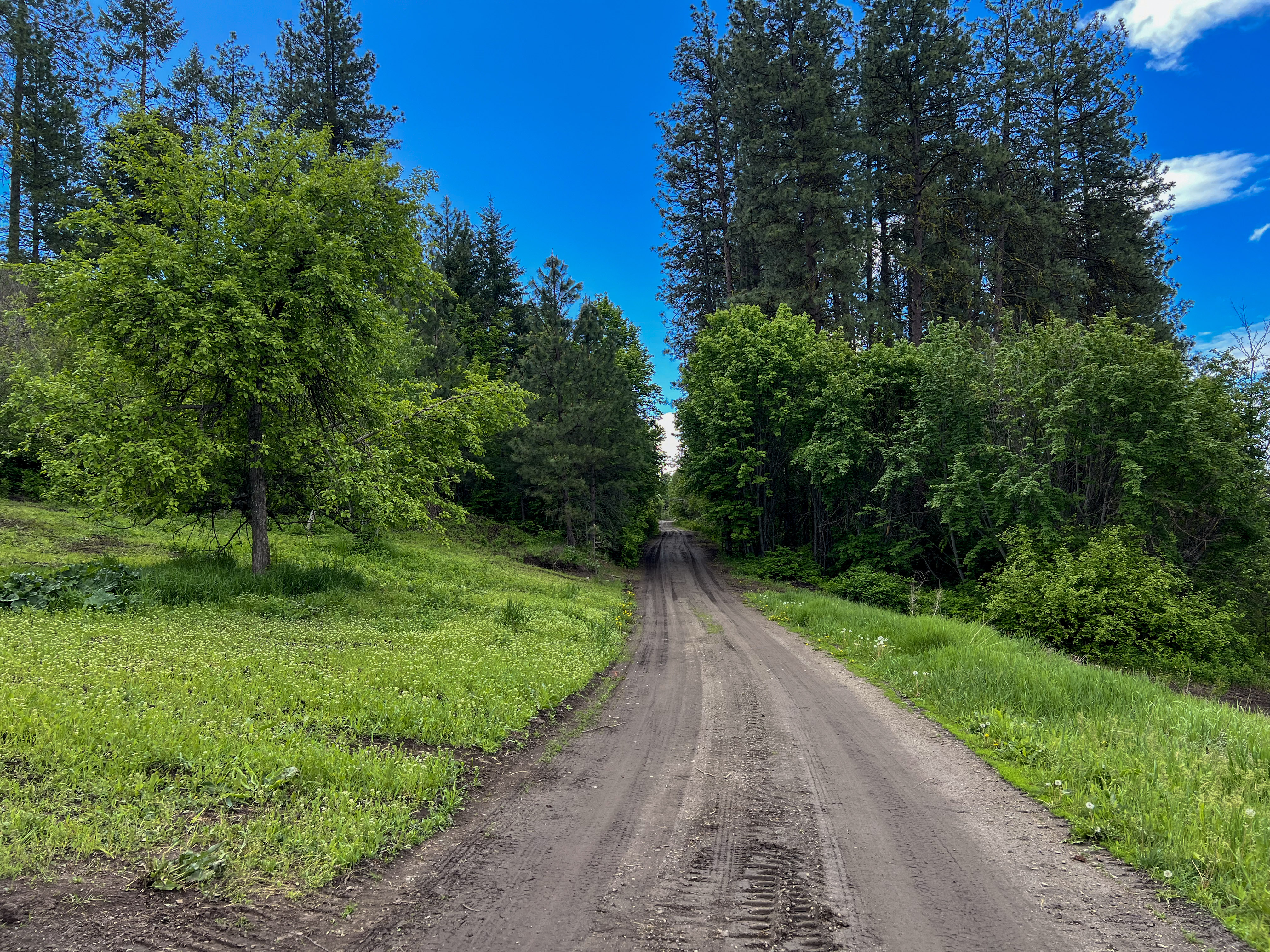 Kettle Falls, Washington, 99141, United States, 3 Bedrooms Bedrooms, ,2 BathroomsBathrooms,Residential,For Sale,1985709