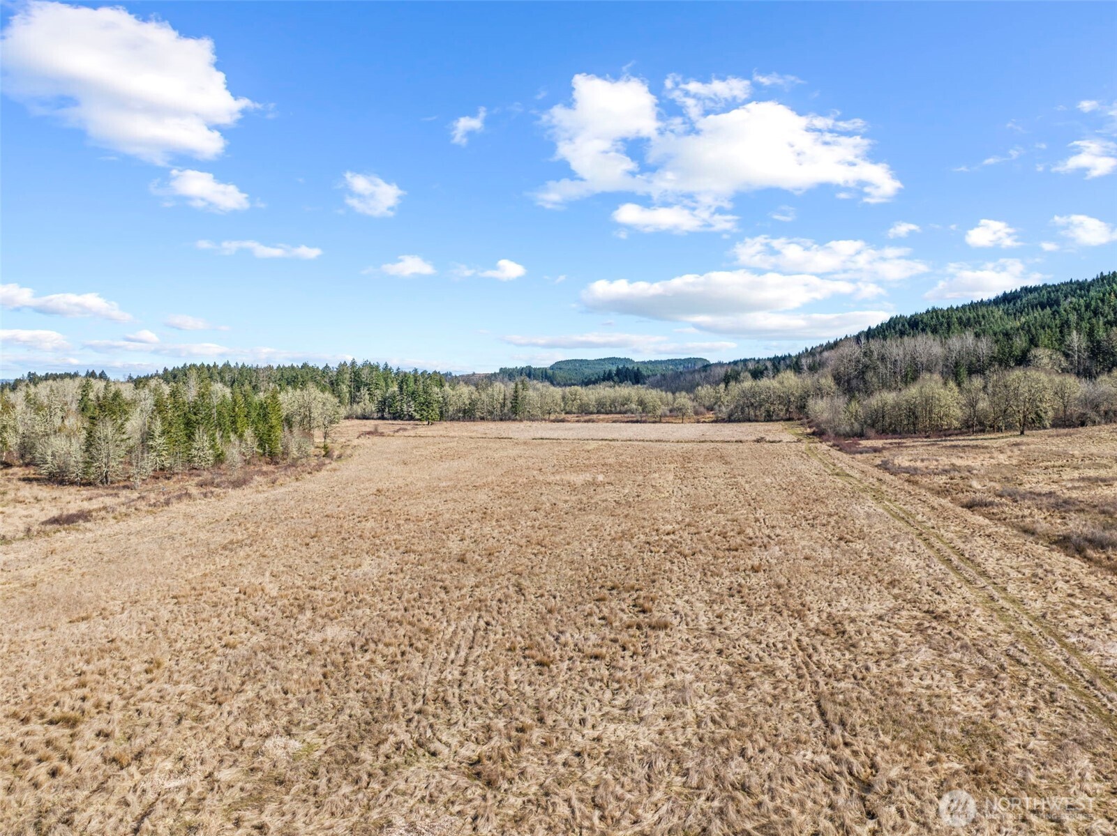 Toledo, Washington, 98591, United States, 3 Bedrooms Bedrooms, ,2 BathroomsBathrooms,Residential,For Sale,1754080