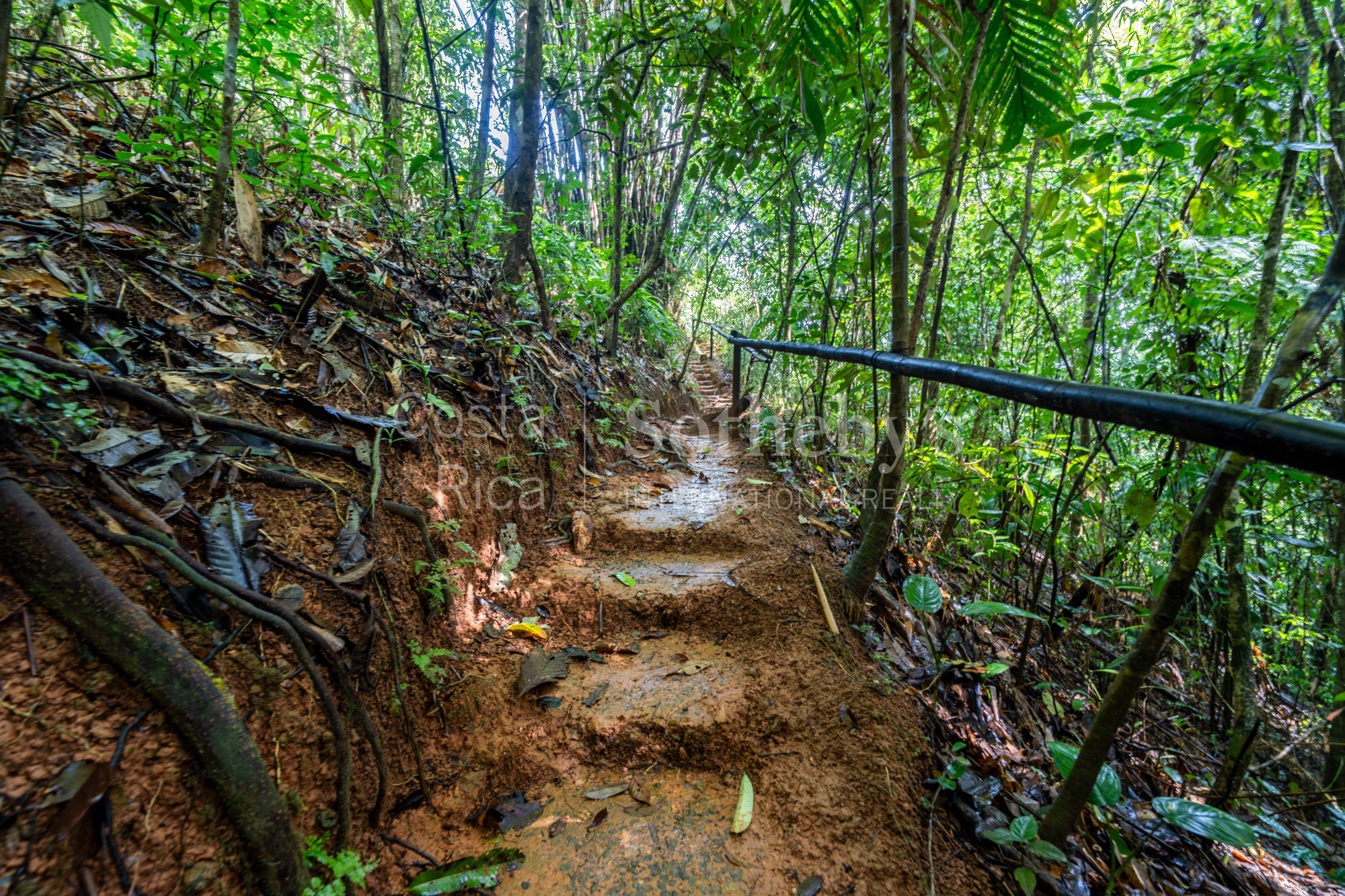  Dominical Yoga Retreat and Nature Reserve - 物件實景