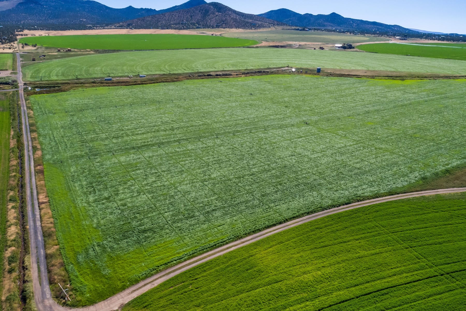  11705 SW Shumway Road Powell Butte, OR 97753 - 物件實景