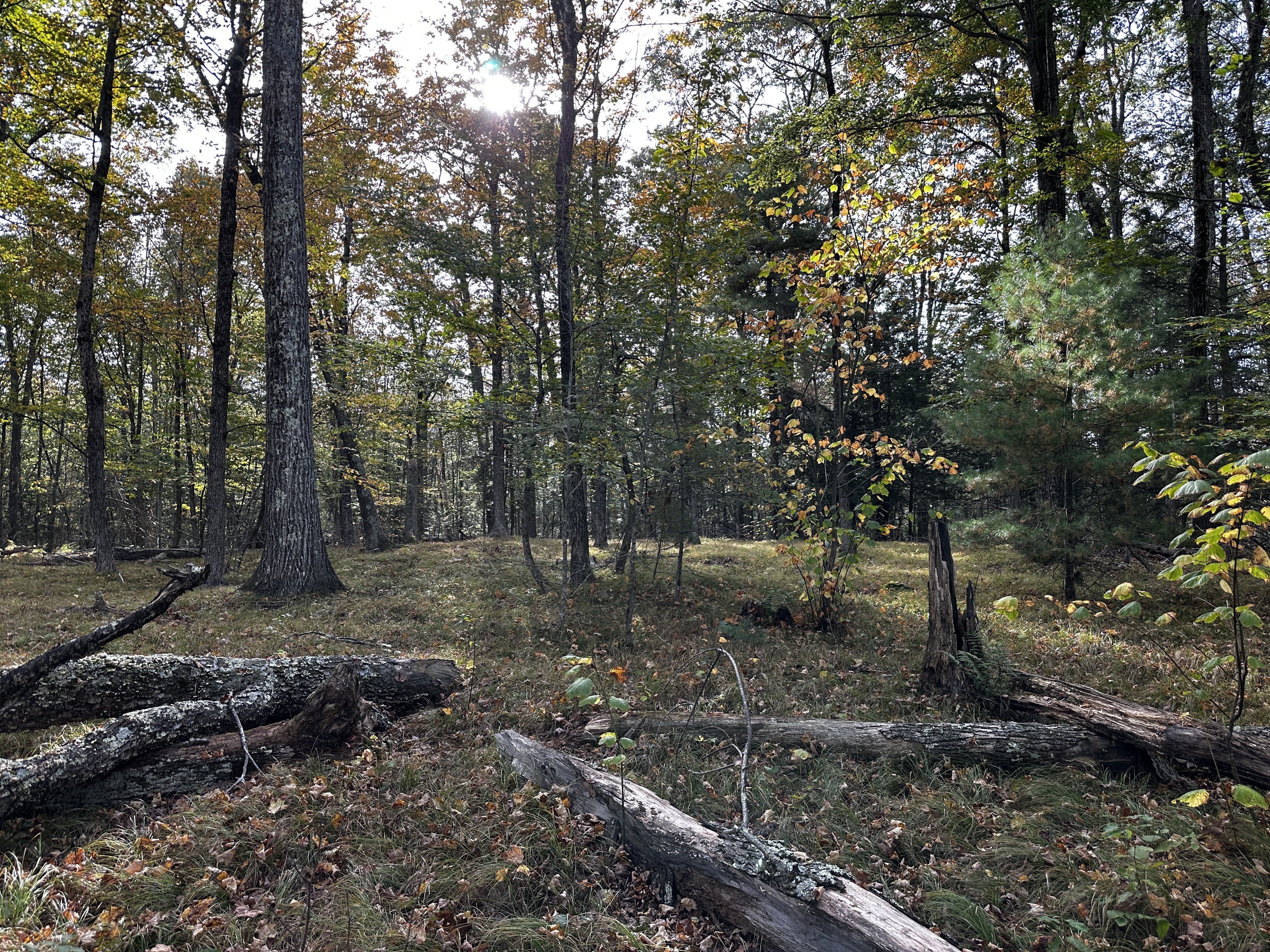  000000 Norfolk Road - 物件實景