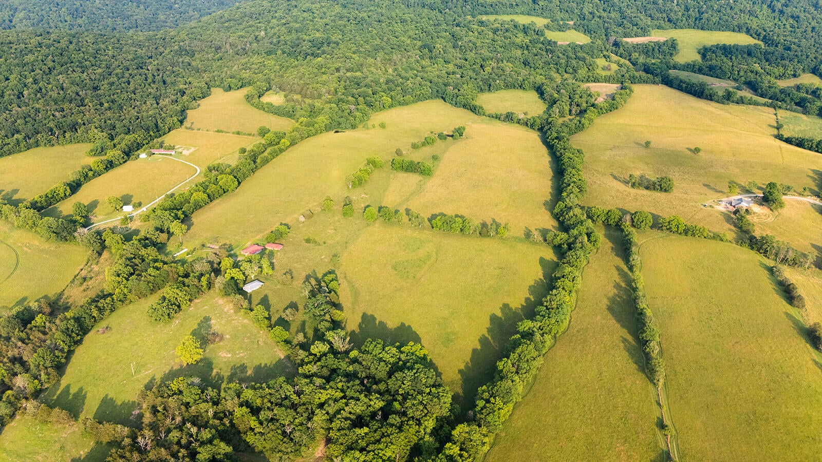 188 Marion Agee Road, Crossville, Tennessee, 37367, United States, ,Land,For Sale,188 Marion Agee Road,1659693