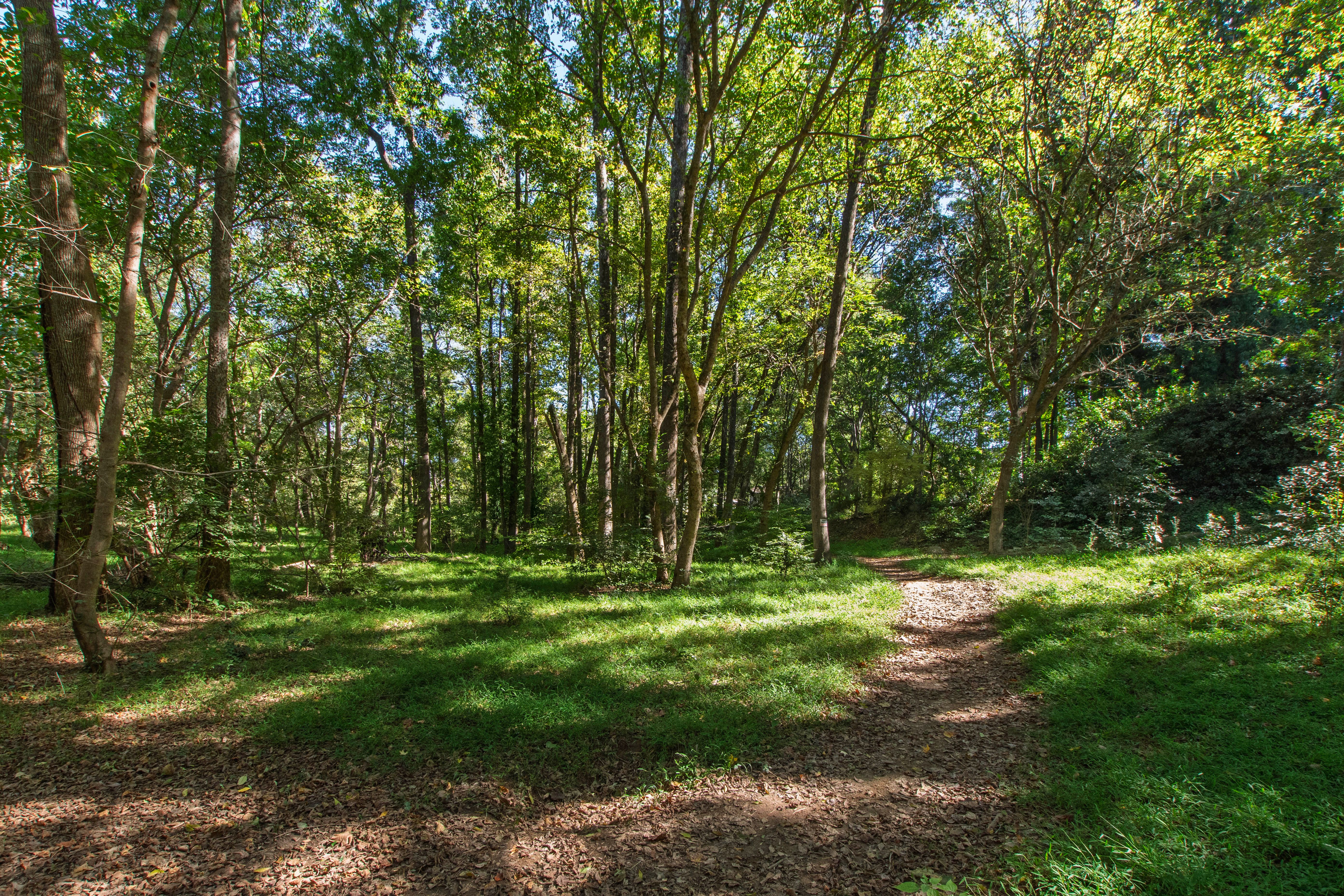  2845 Claremont Road, Raleigh, NC 27608 - 物件實景