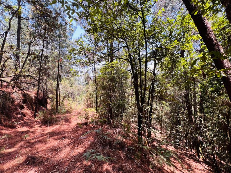 Valle de Bravo, Estado de méxico, 51200, Mexico, 1 Bedroom Bedrooms, ,Residential,For Sale,1721616