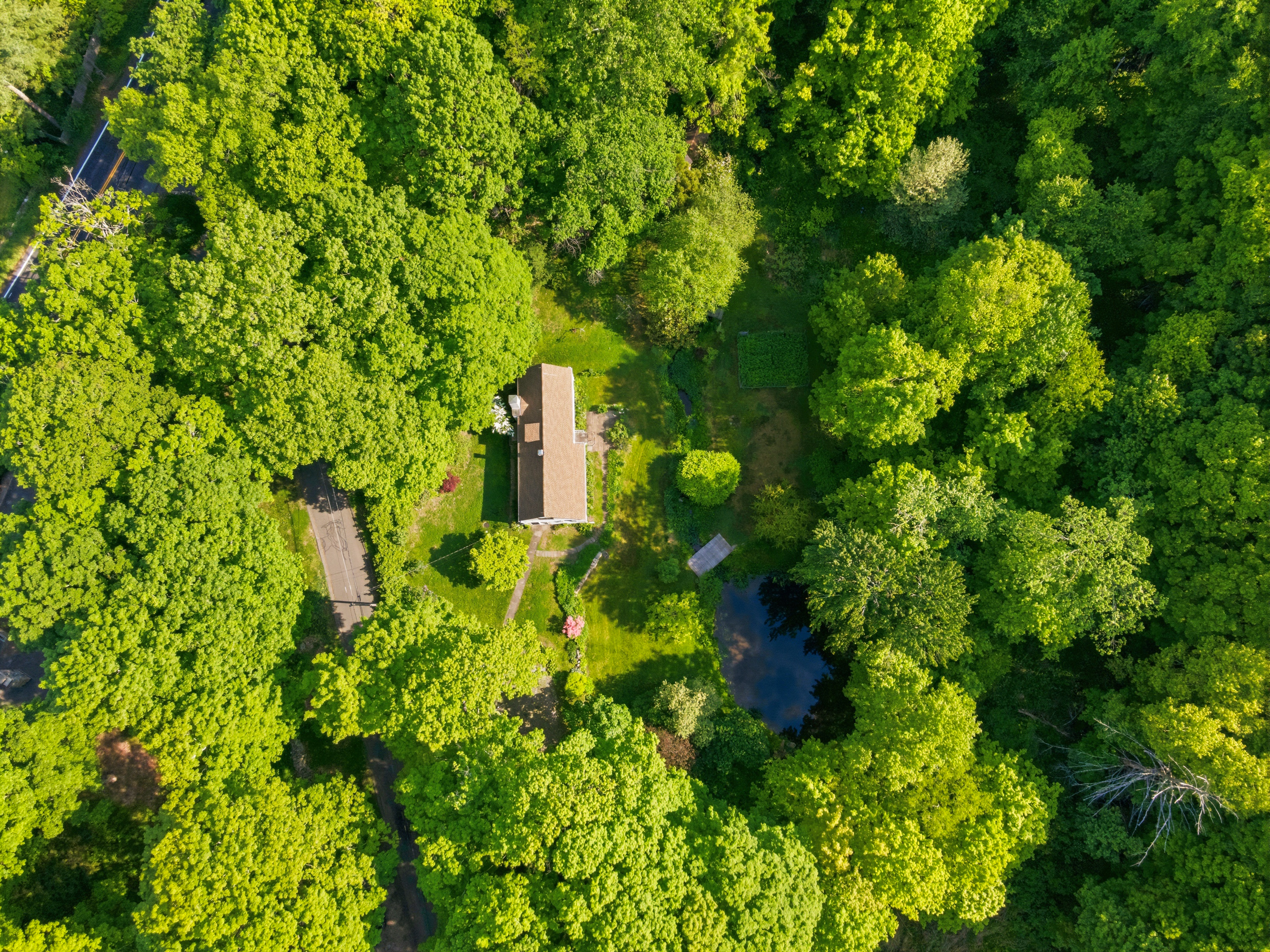  Storybook Sanctuary Nestled in the Heart of Redding - 物件實景