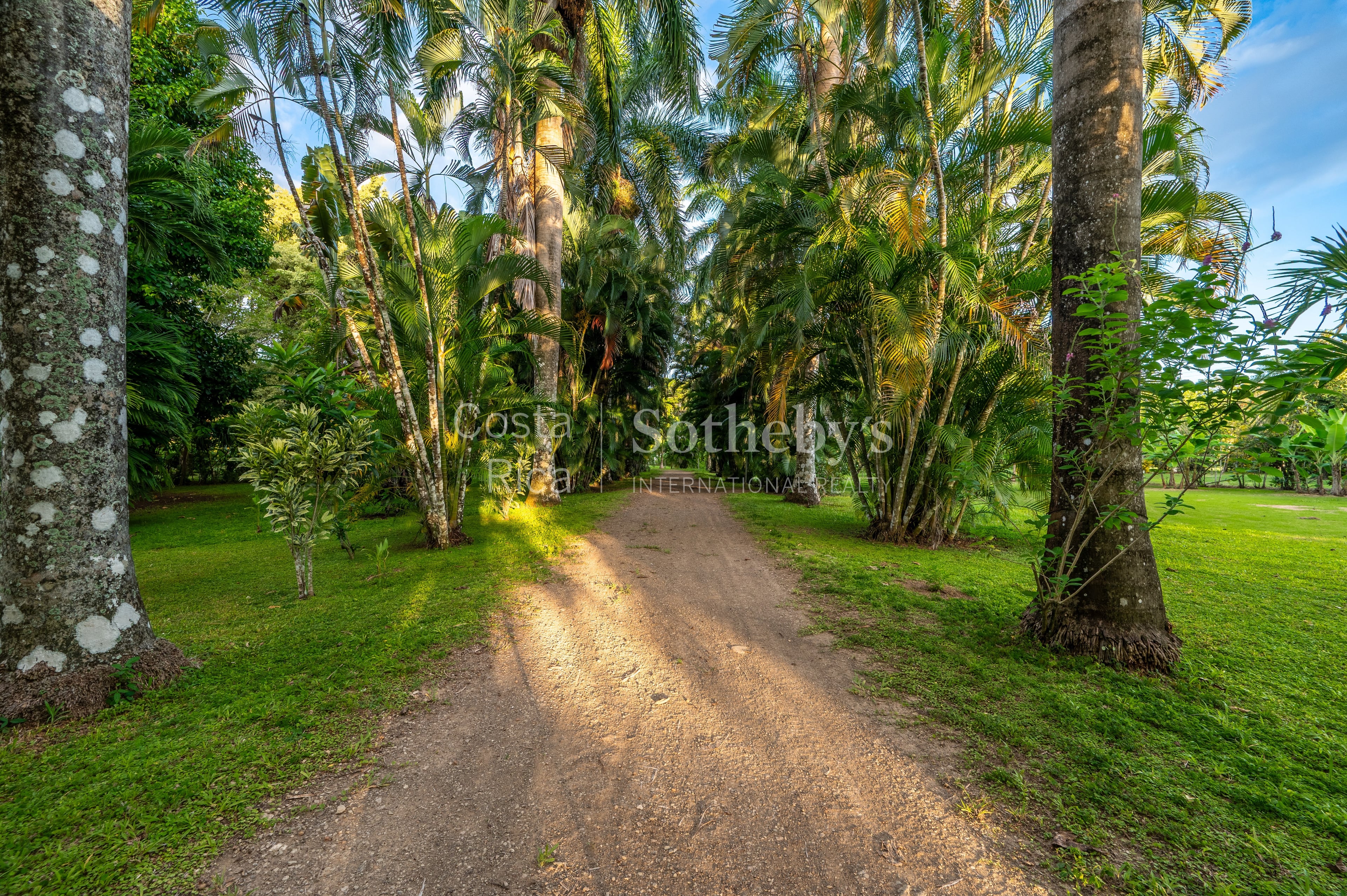  Casa Blanca: Lush and Peaceful Ocean Living - 物件實景