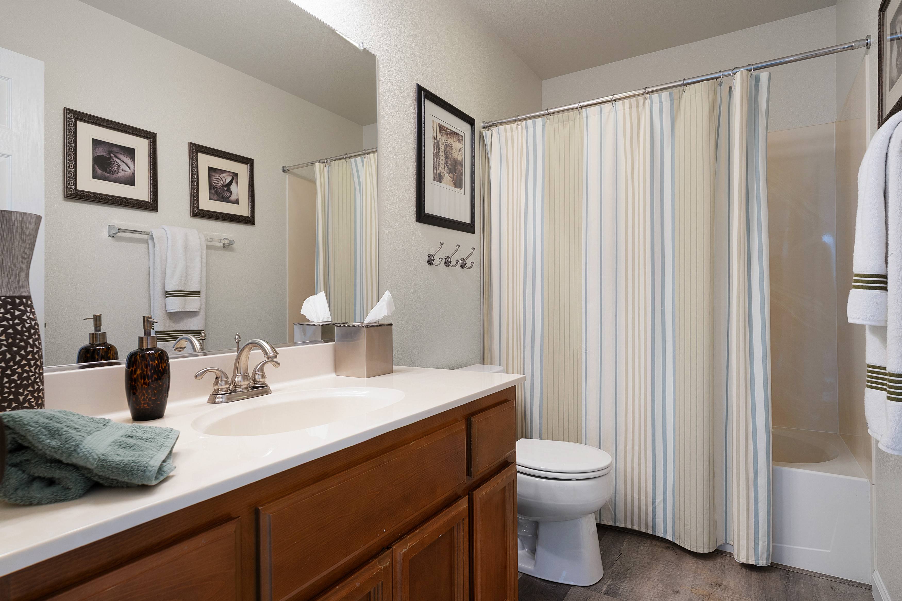  1529 Black Bear Street, Roseville, CA 95747 - 物件實景