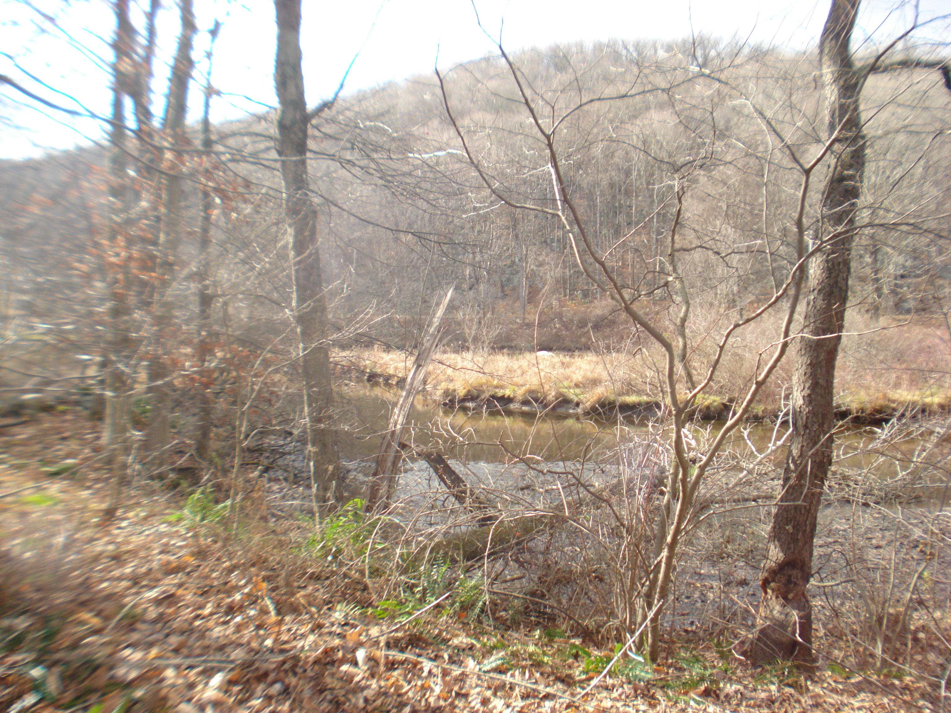  Rte 39 South, State Route - 物件實景