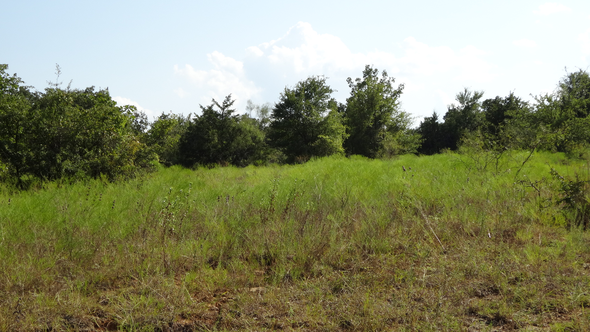 0 Highway 114, Boyd, Texas, 76023, United States, ,Residential,For Sale,0 Highway 114,1008641