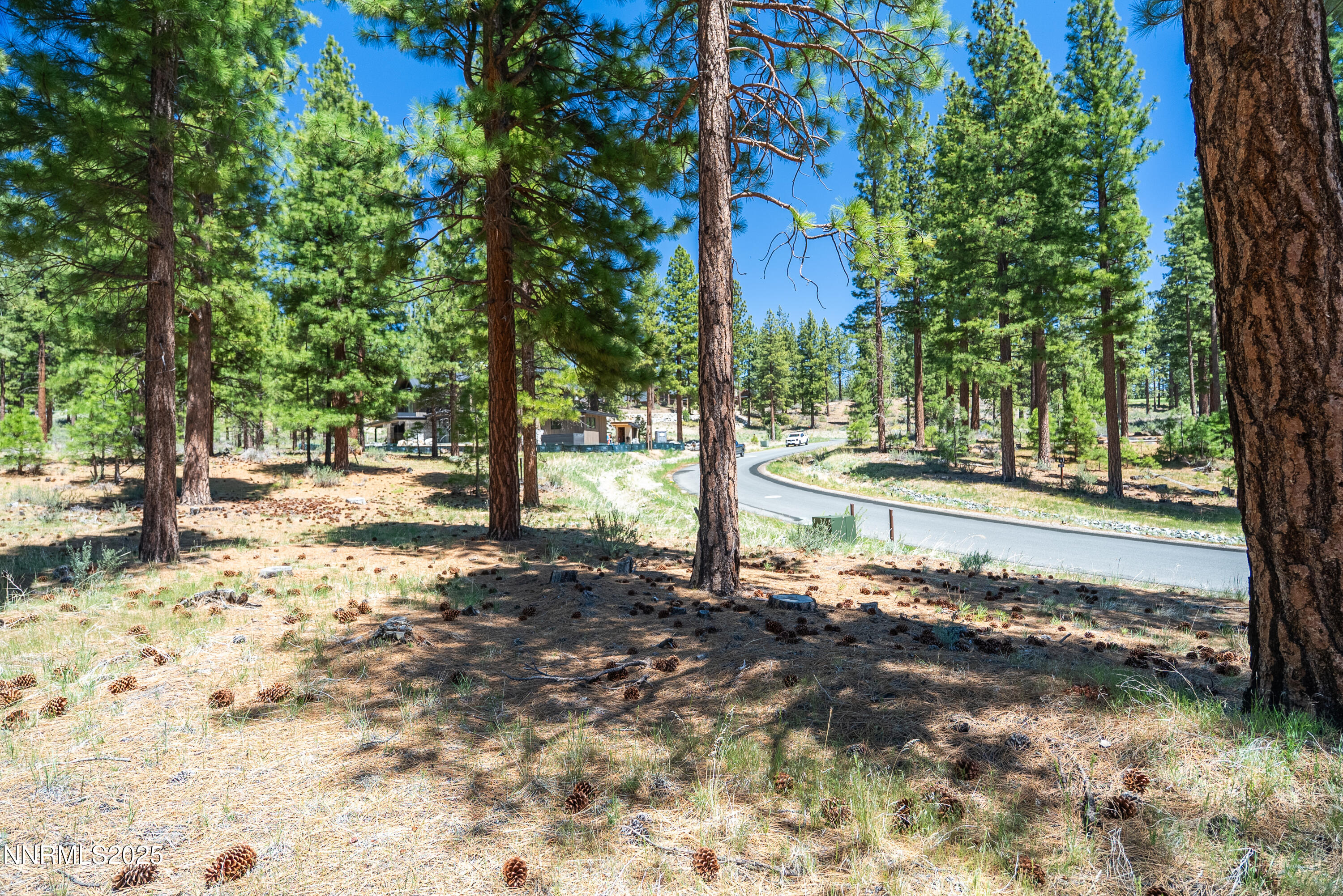 Carson City, Nevada, 89705, United States, ,Land,For Sale,1848376