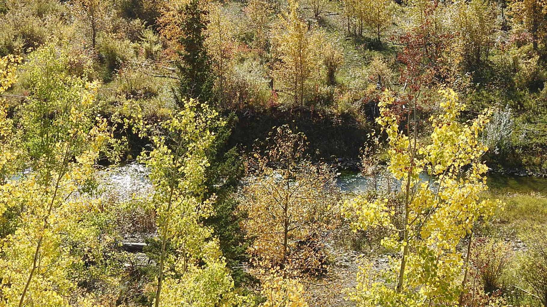 RURAL FOOTHILLS COUNTY, Alberta, T0L 1K0, CA, ,Residential,For Sale,1836944