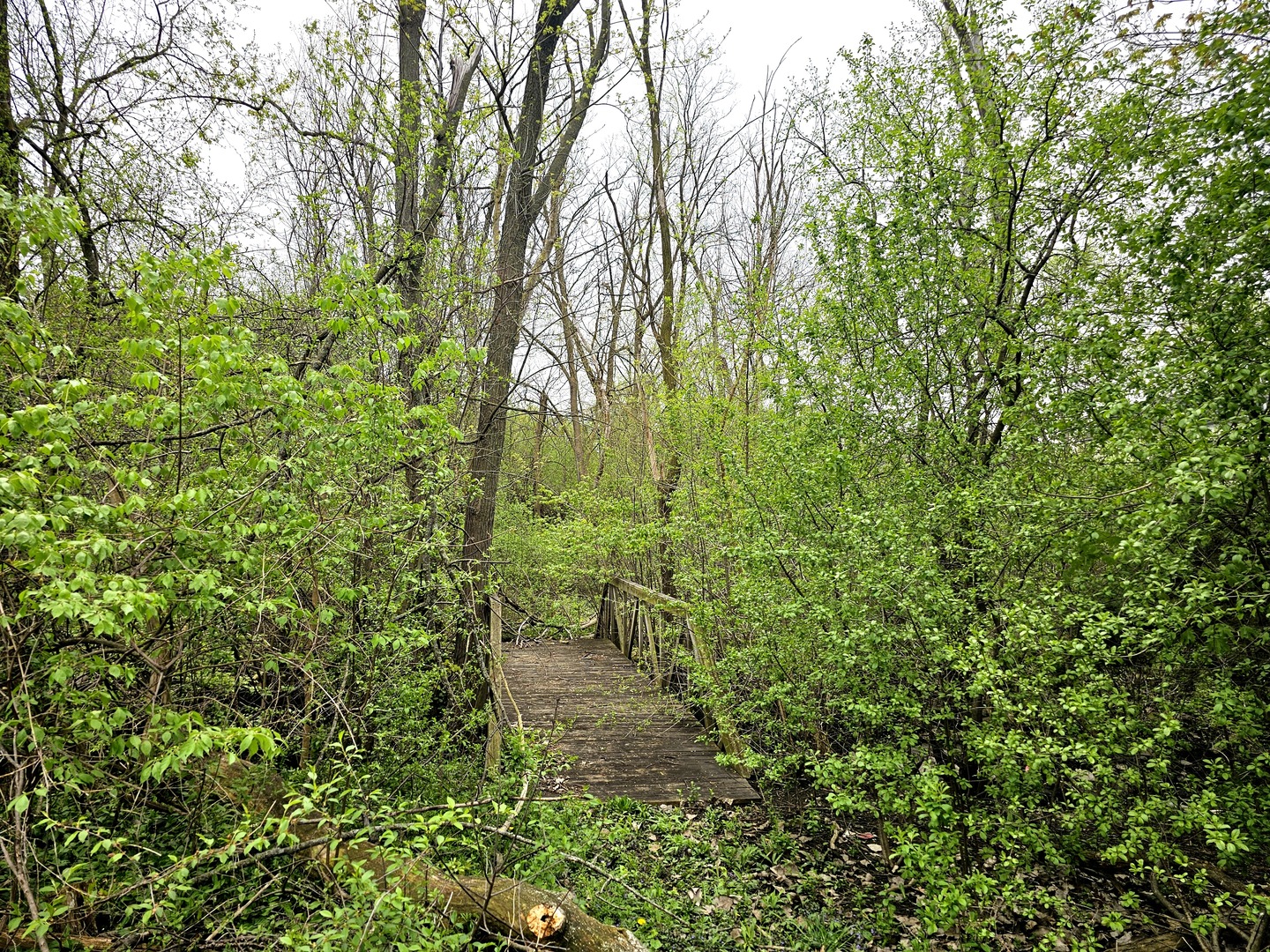 Willowbrook, Illinois, 60527, United States, ,Land,For Sale,1721521