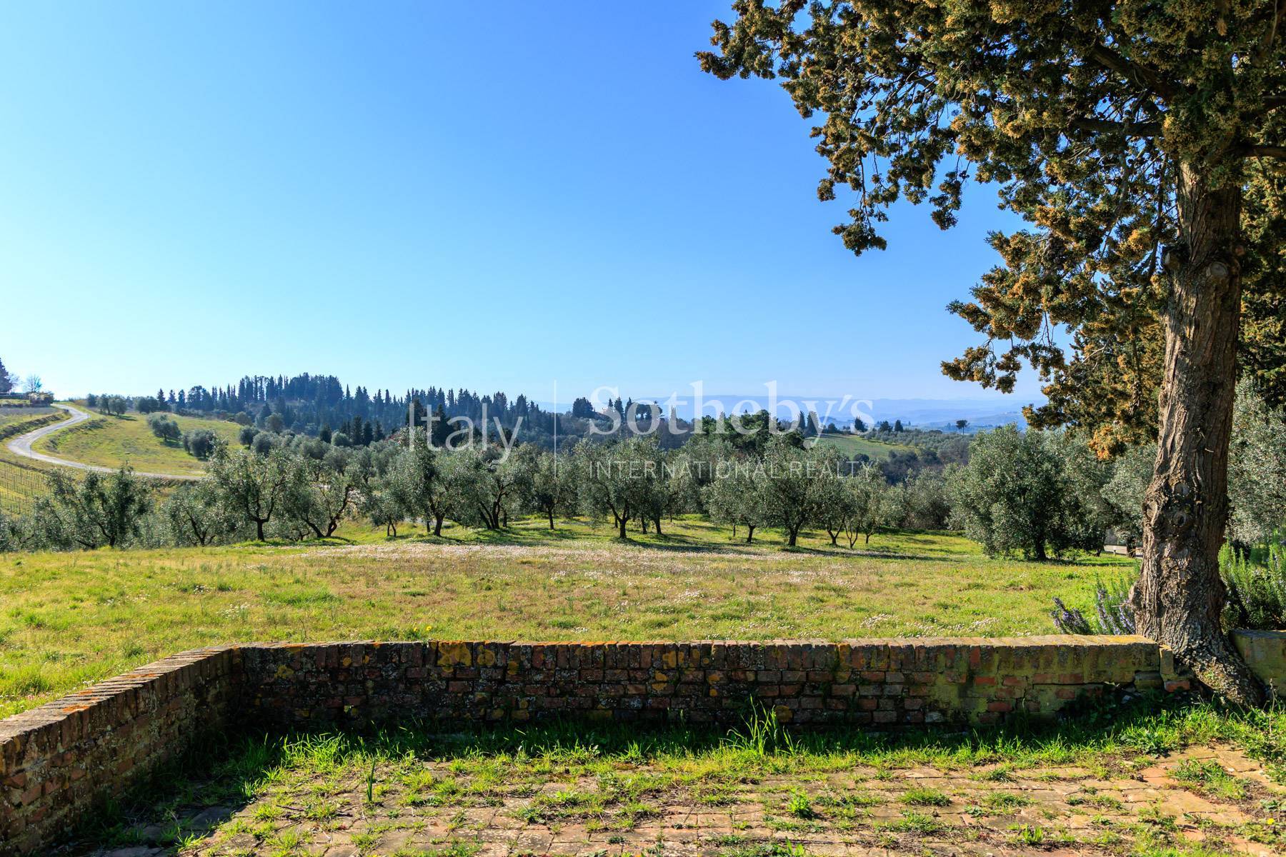 Exclusive mansion with vineyards and olive groves at 30 minutes from Florence, - 物件實景