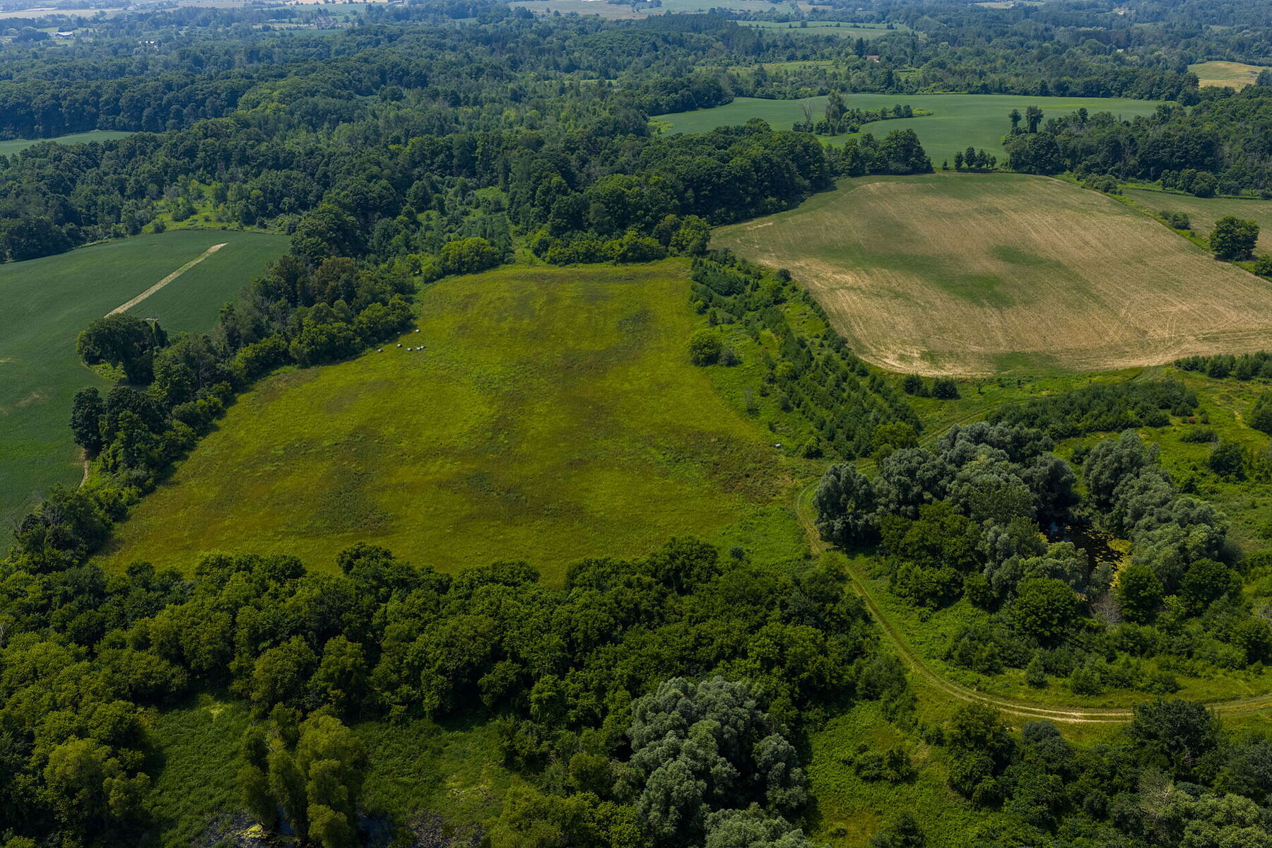  96-acre Farm Estate - 物件實景