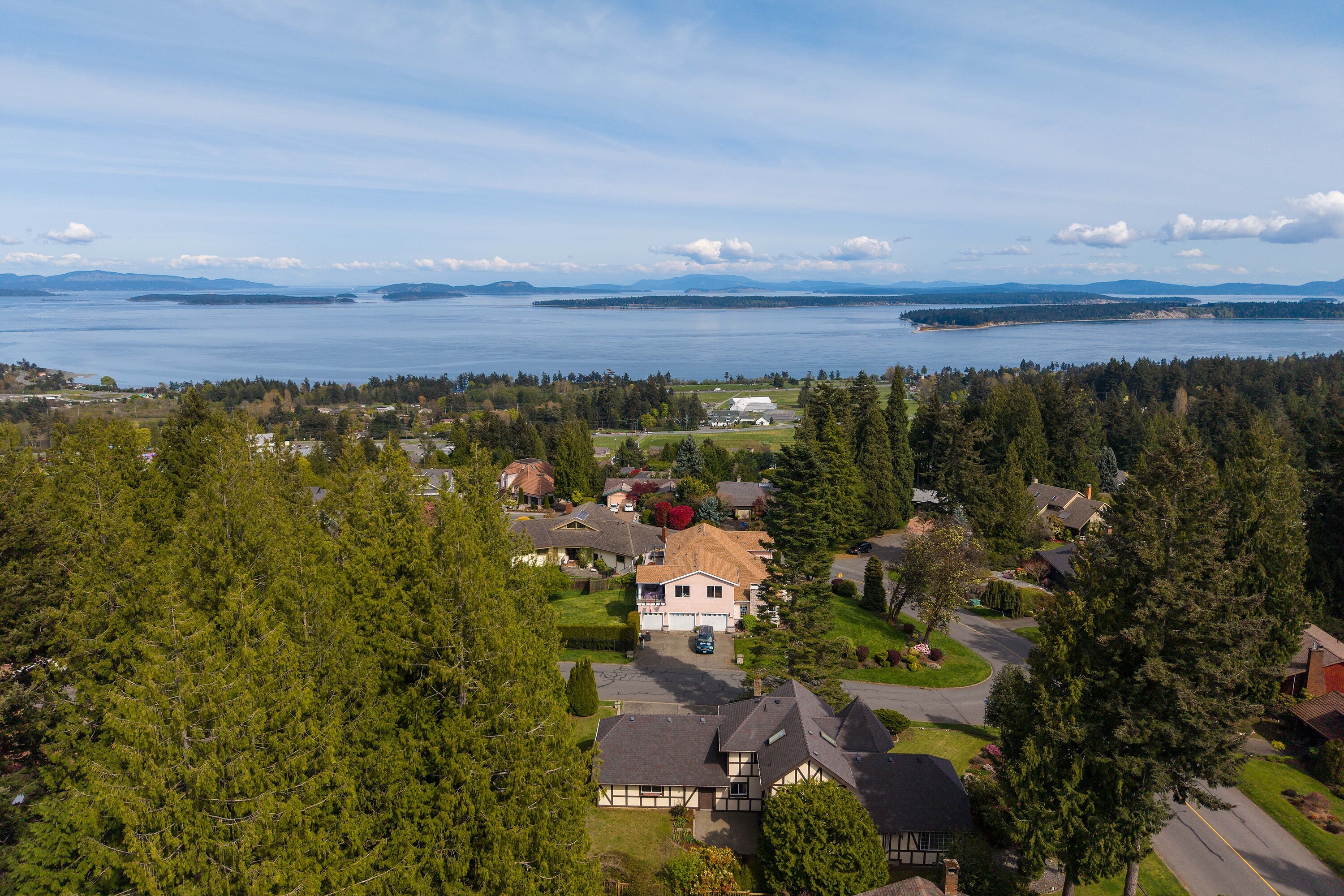  Dean Park Opportunity - 物件實景