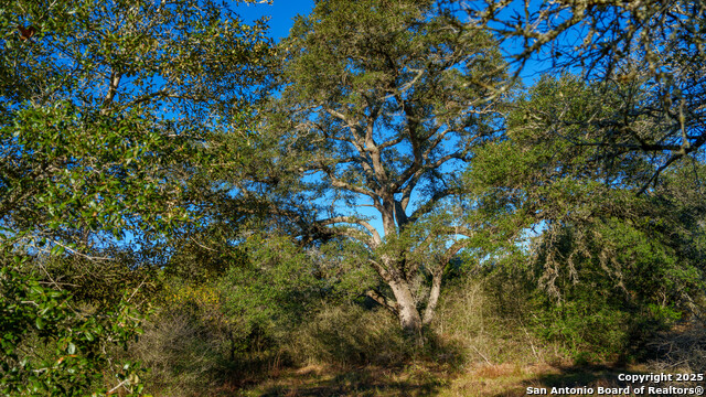 Yoakum, Texas, 77995, United States, ,Land,For Sale,1988104