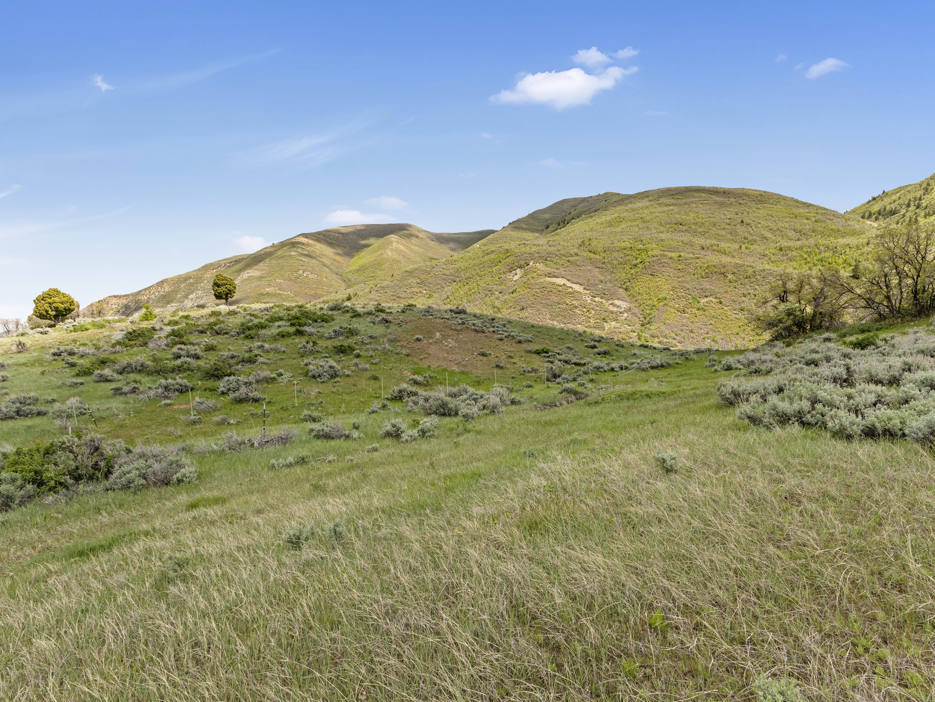  5.4 Acres In Provo Canyon With Easement To River - 物件實景