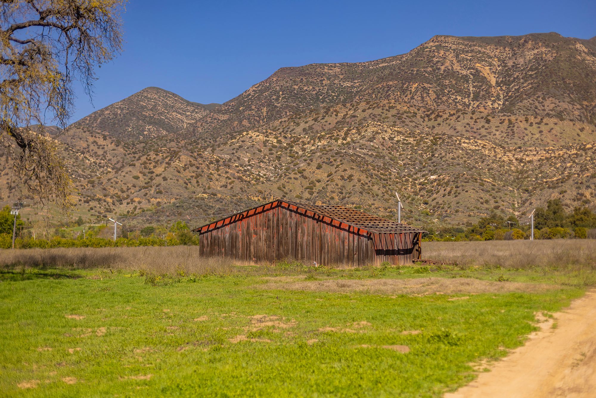  1201 Grand Avenue, Ojai, CA 93023 - 物件實景