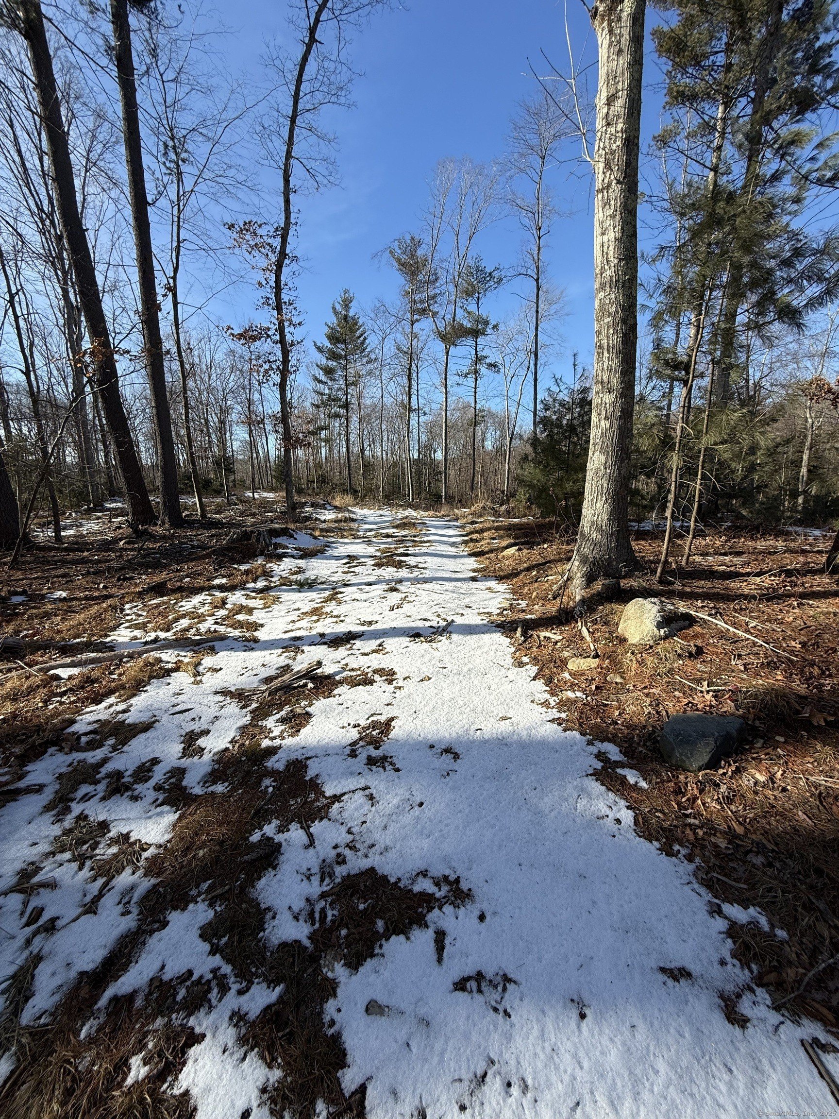 Burlington, Connecticut, 06013, United States, ,Land,For Sale,1982726