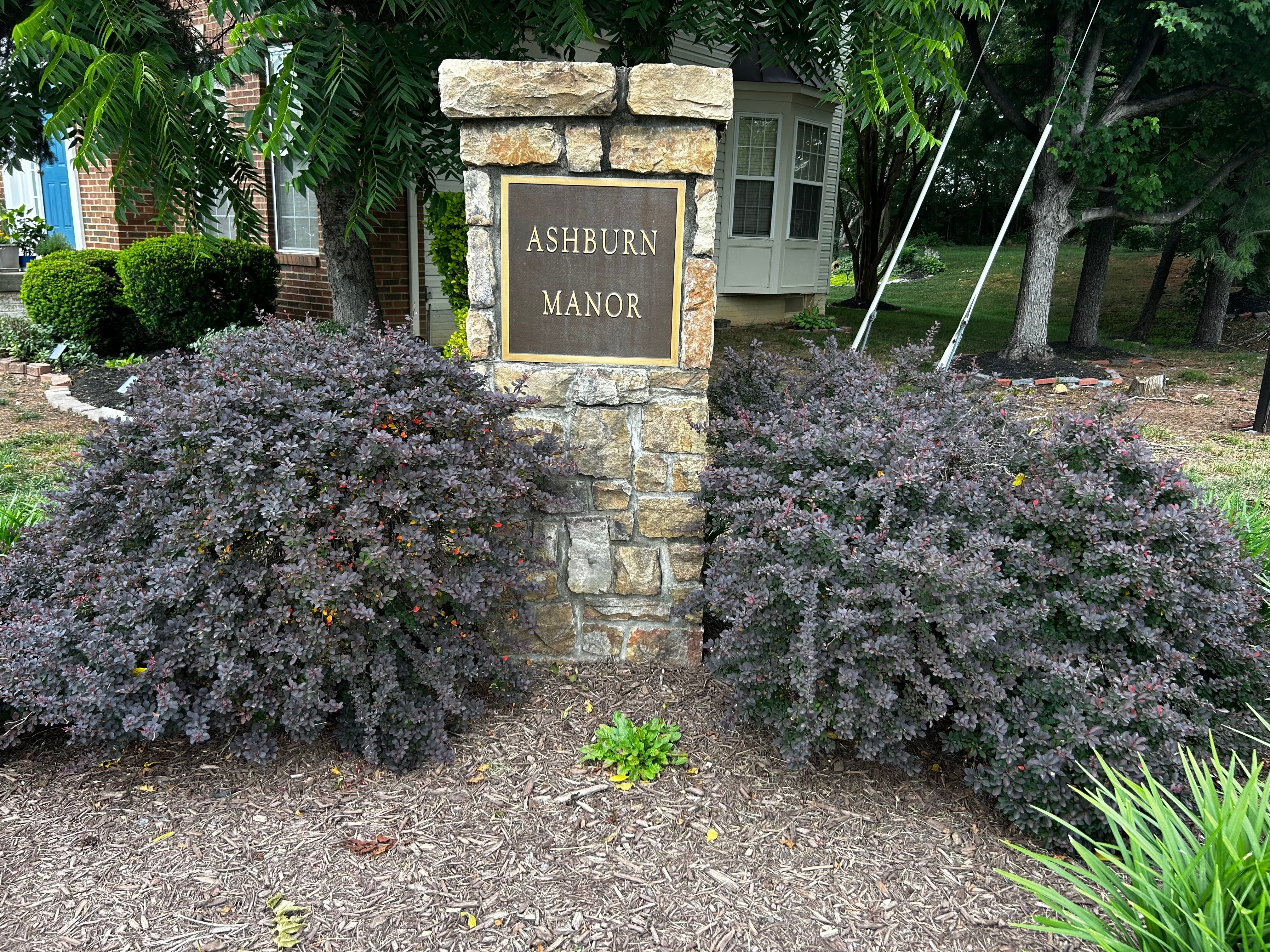  43756 Tolamac Drive, Ashburn, VA, 20147 - 物件實景