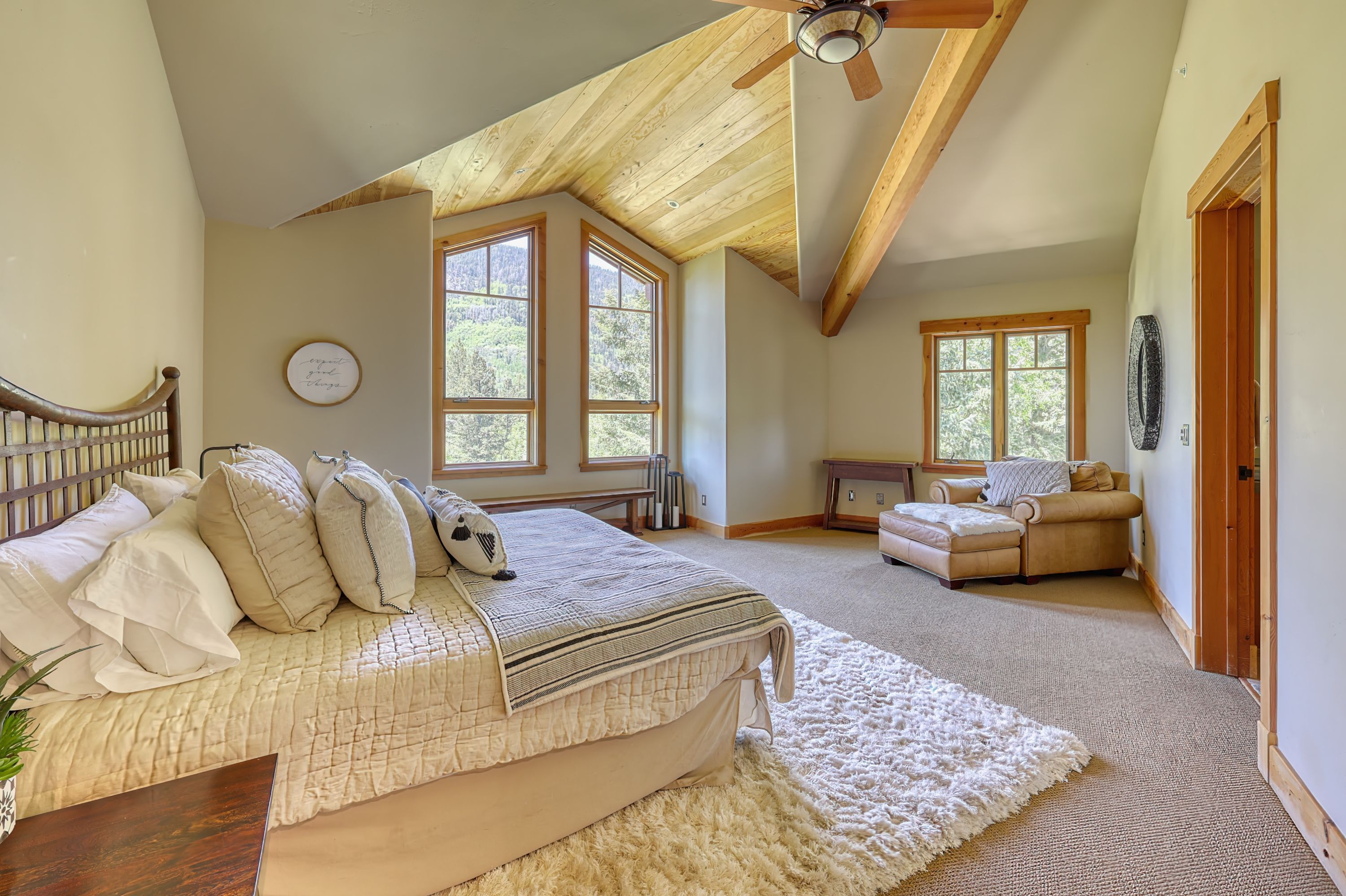  455 Pinnacle View Drive, Durango, CO 81301 - 物件實景