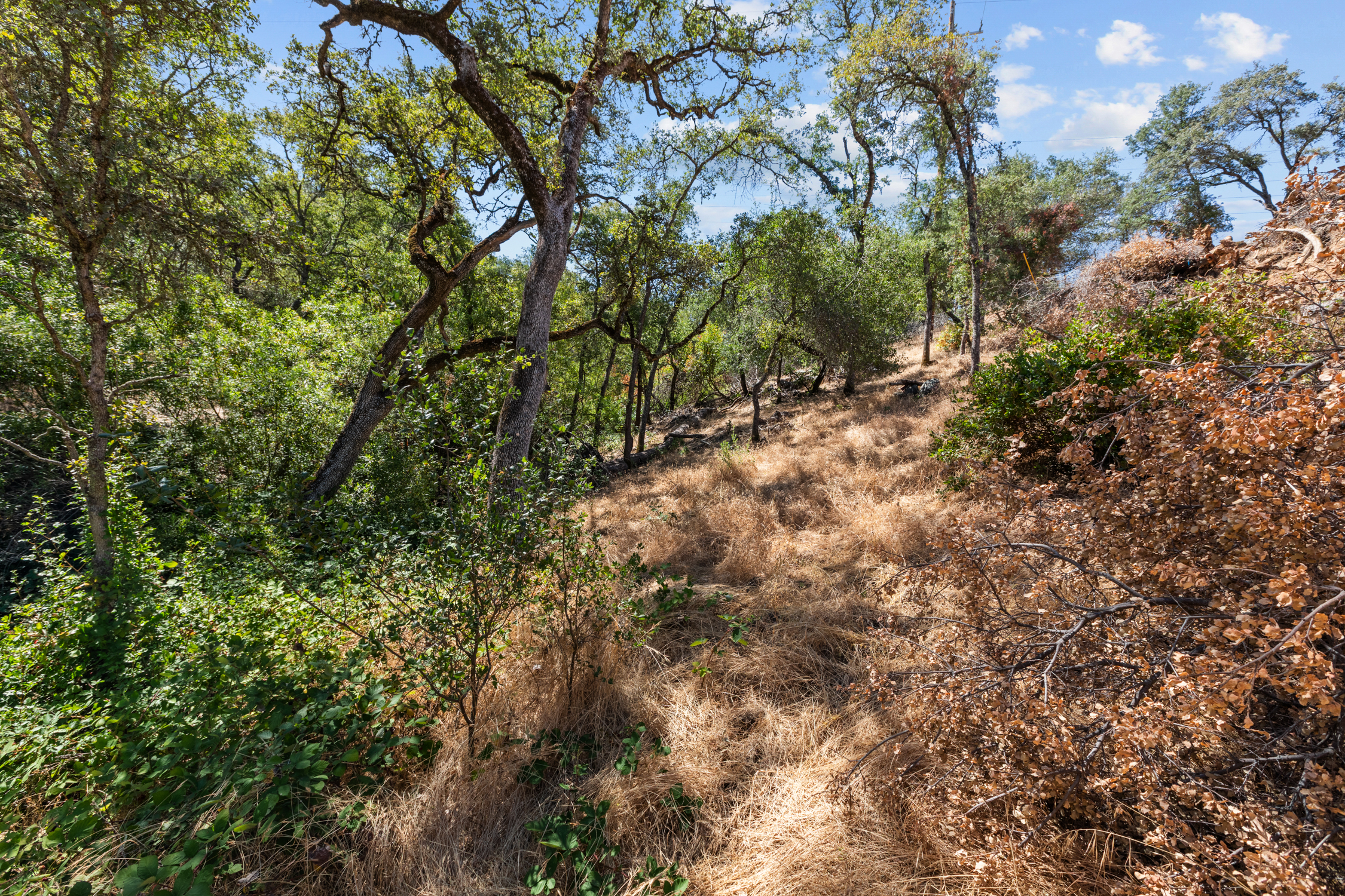  4217 Hensley Circle, El Dorado Hills, CA 95762 - 物件實景