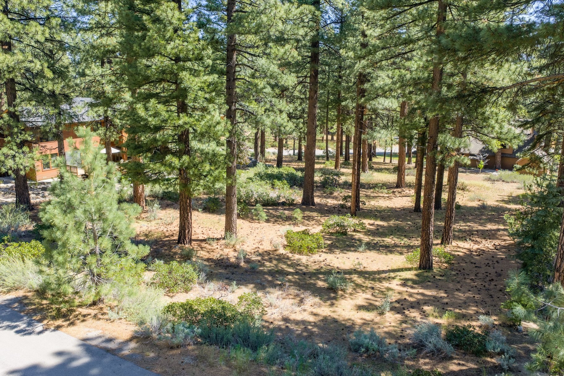  Private Galena Forest Parcel Near Mt. Rose with Pines & Tahoe Access - 物件實景