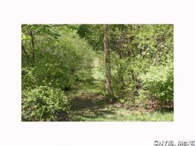 0000 Split Rock Road, Camillus, New York, 13031, United States, ,Land,For Sale,0000 Split Rock Road,1431057