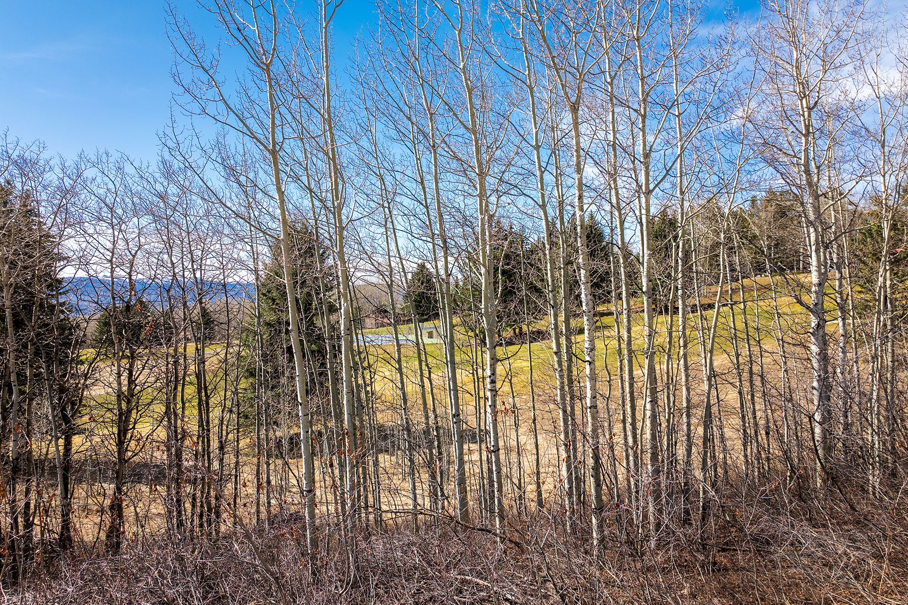  Vista East Drive - 物件實景