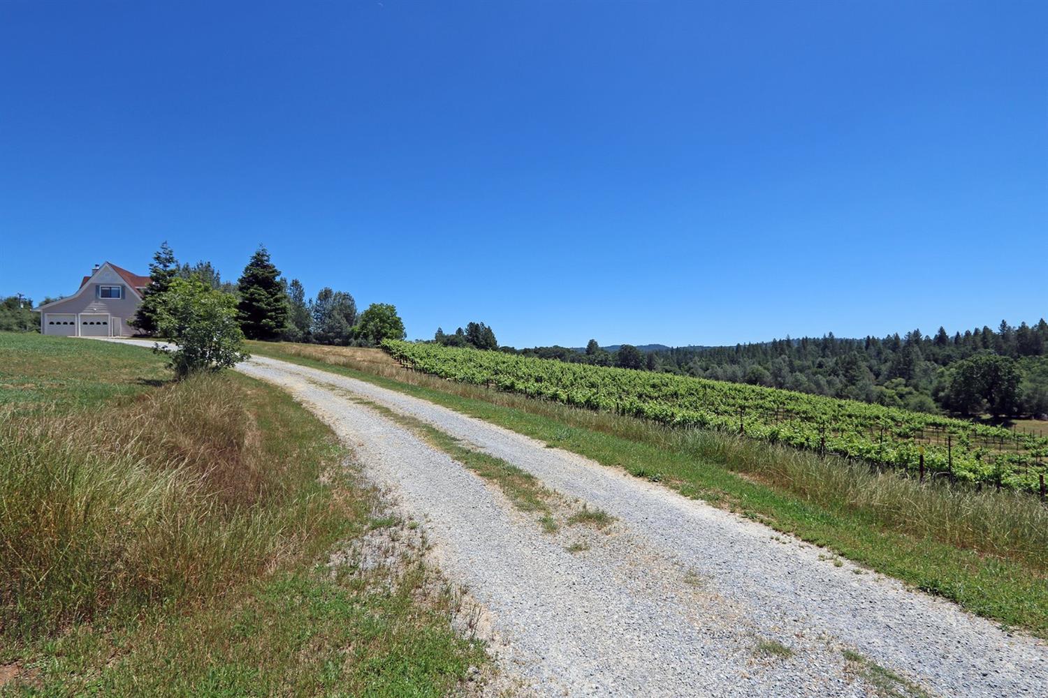 2145 Hidden Ranch Road, Somerset, California, 95684, United States, 3 Bedrooms Bedrooms, ,4 BathroomsBathrooms,Residential,For Sale,2145 Hidden Ranch Road,1048969
