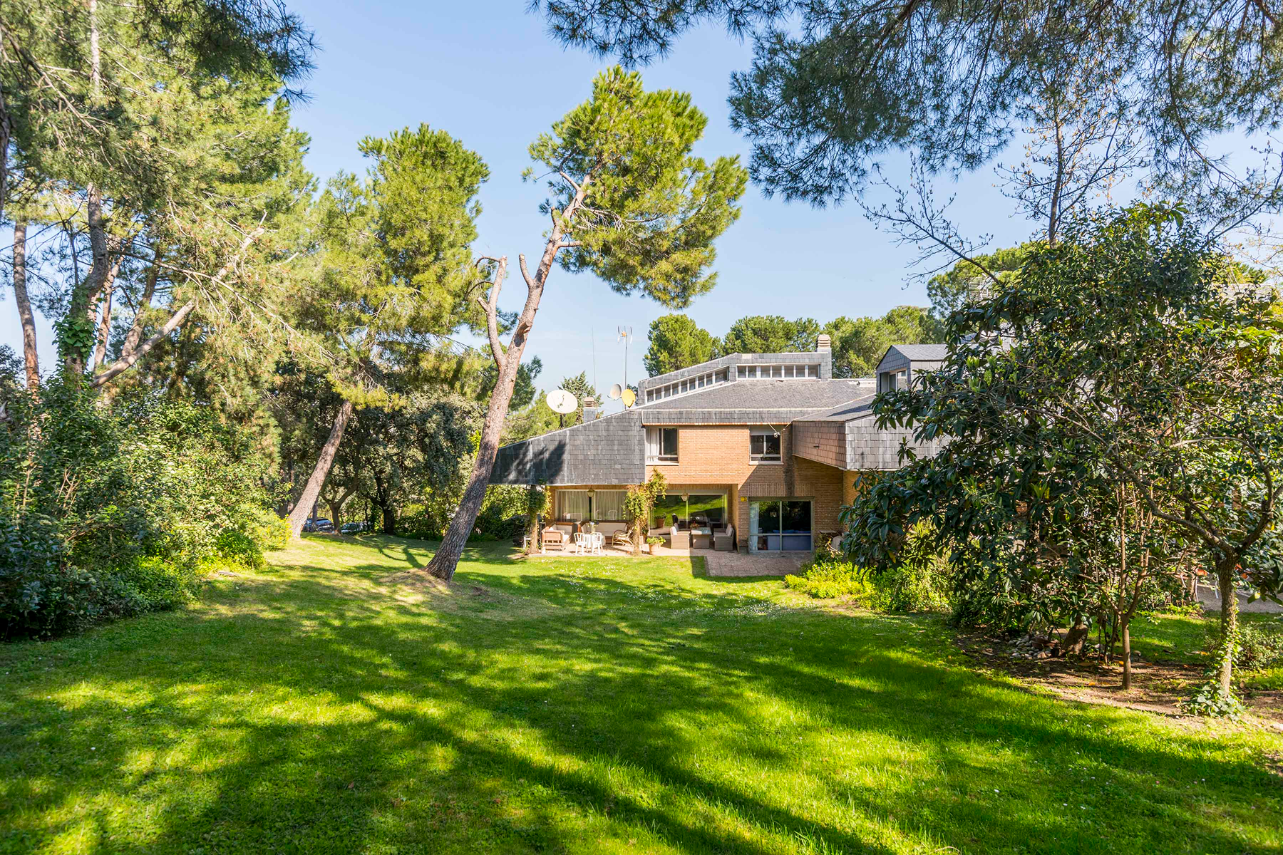  Wonderful hectare plot in La Moraleja - 物件實景