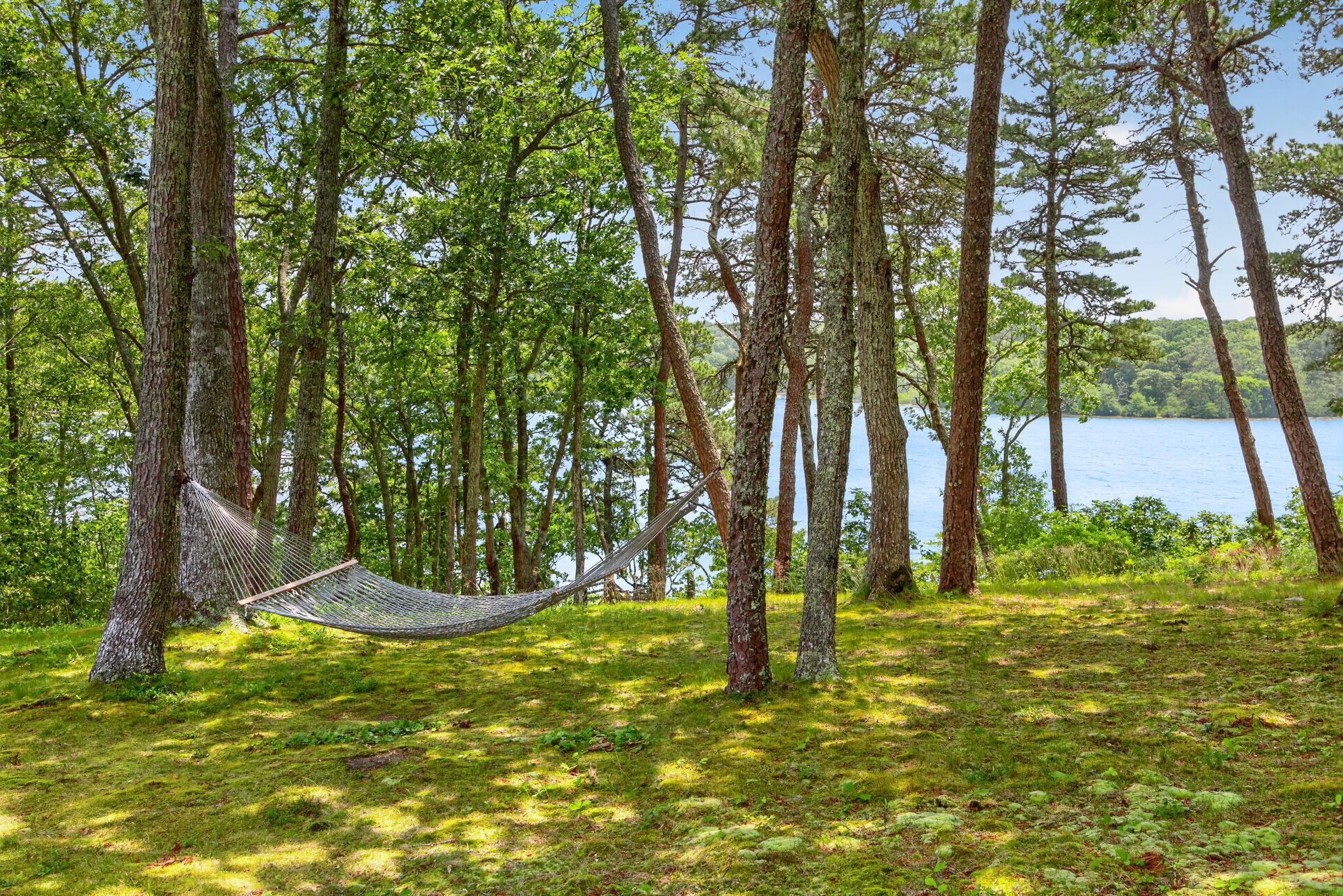  674 Crowells Bog Road, Brewster, MA, 02631 - 物件實景
