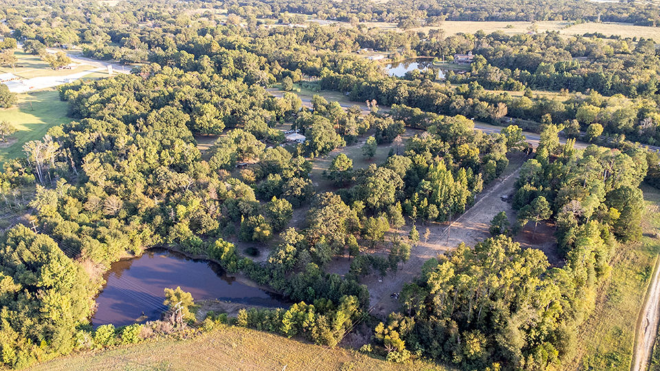 GRAND SALINE, Texas, 75140, United States, 3 Bedrooms Bedrooms, ,2 BathroomsBathrooms,Residential,For Sale,1960368