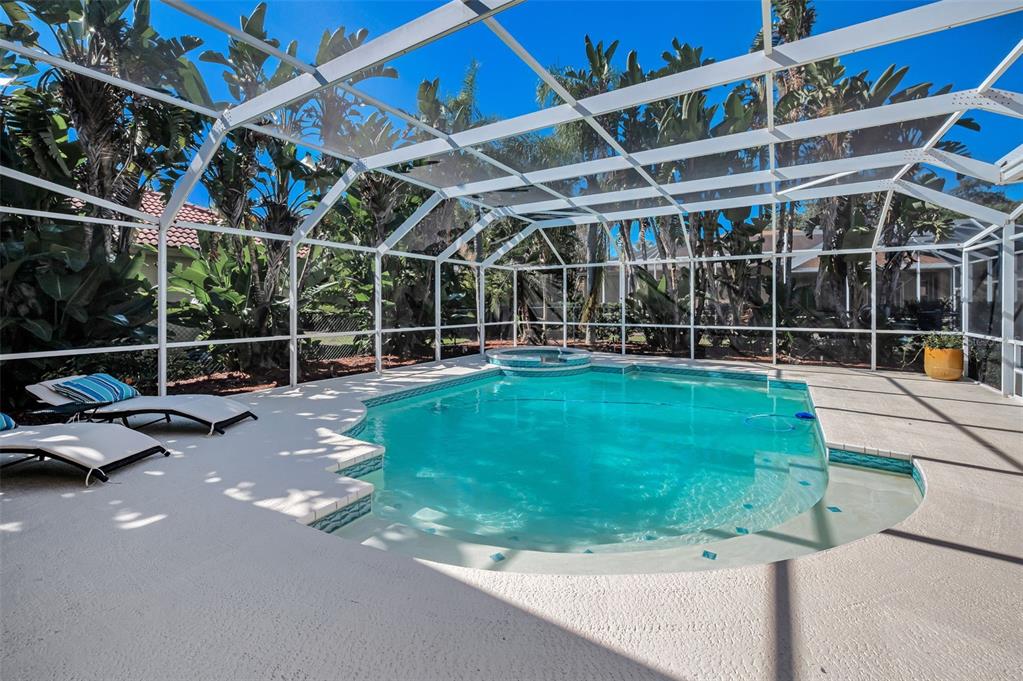 Palm Harbor, Florida, 34685, United States, 4 Bedrooms Bedrooms, ,3 BathroomsBathrooms,Residential,For Sale,1987675