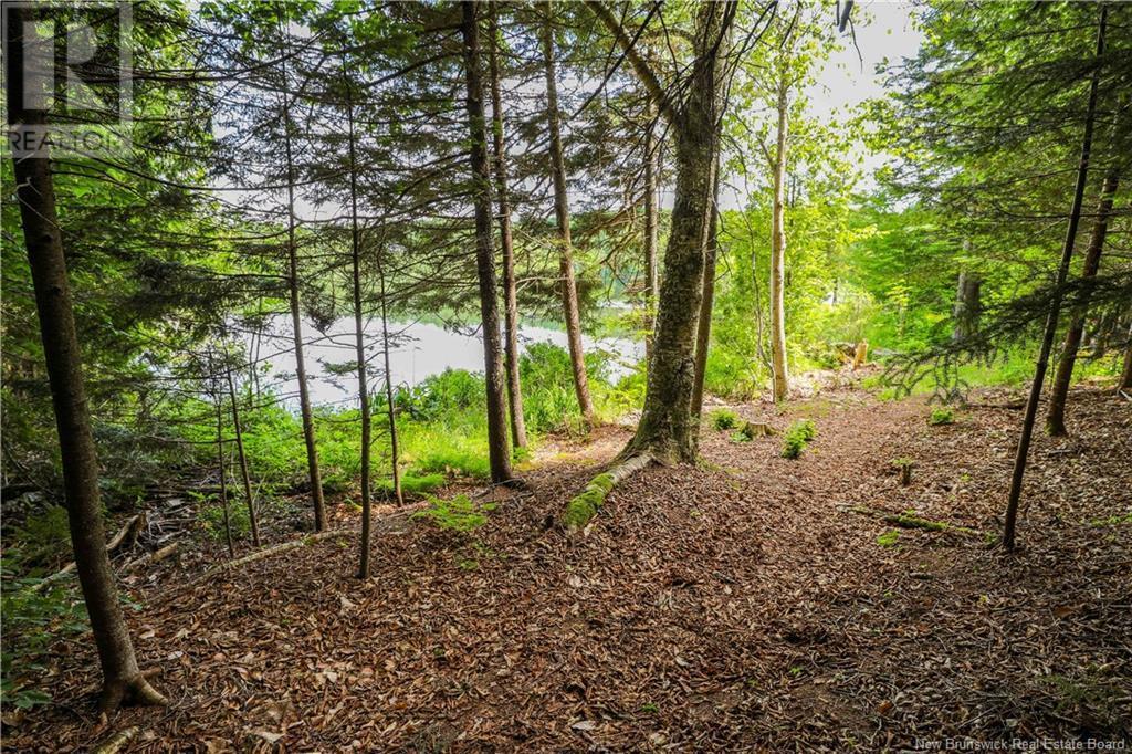 SAINT JOHN, New Brunswick, E2N 1R5, CA, 3 Bedrooms Bedrooms, ,1 BathroomBathrooms,Residential,For Sale,1908776