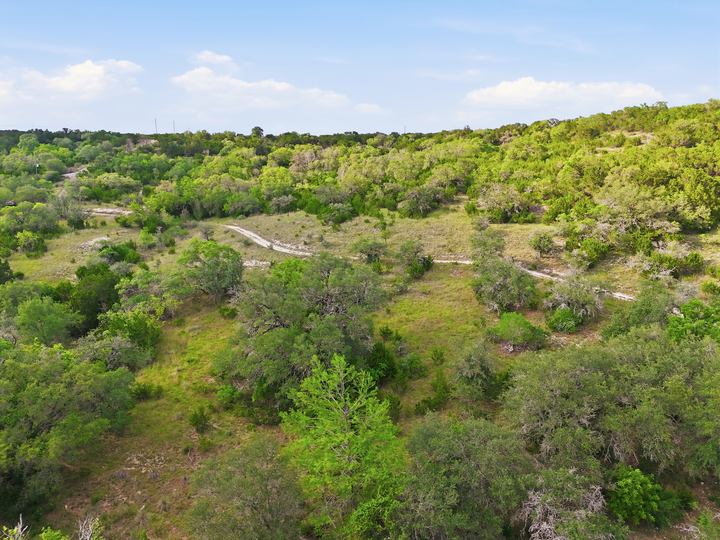  72+/- Acre Palmetto Creek Ranch - 物件實景