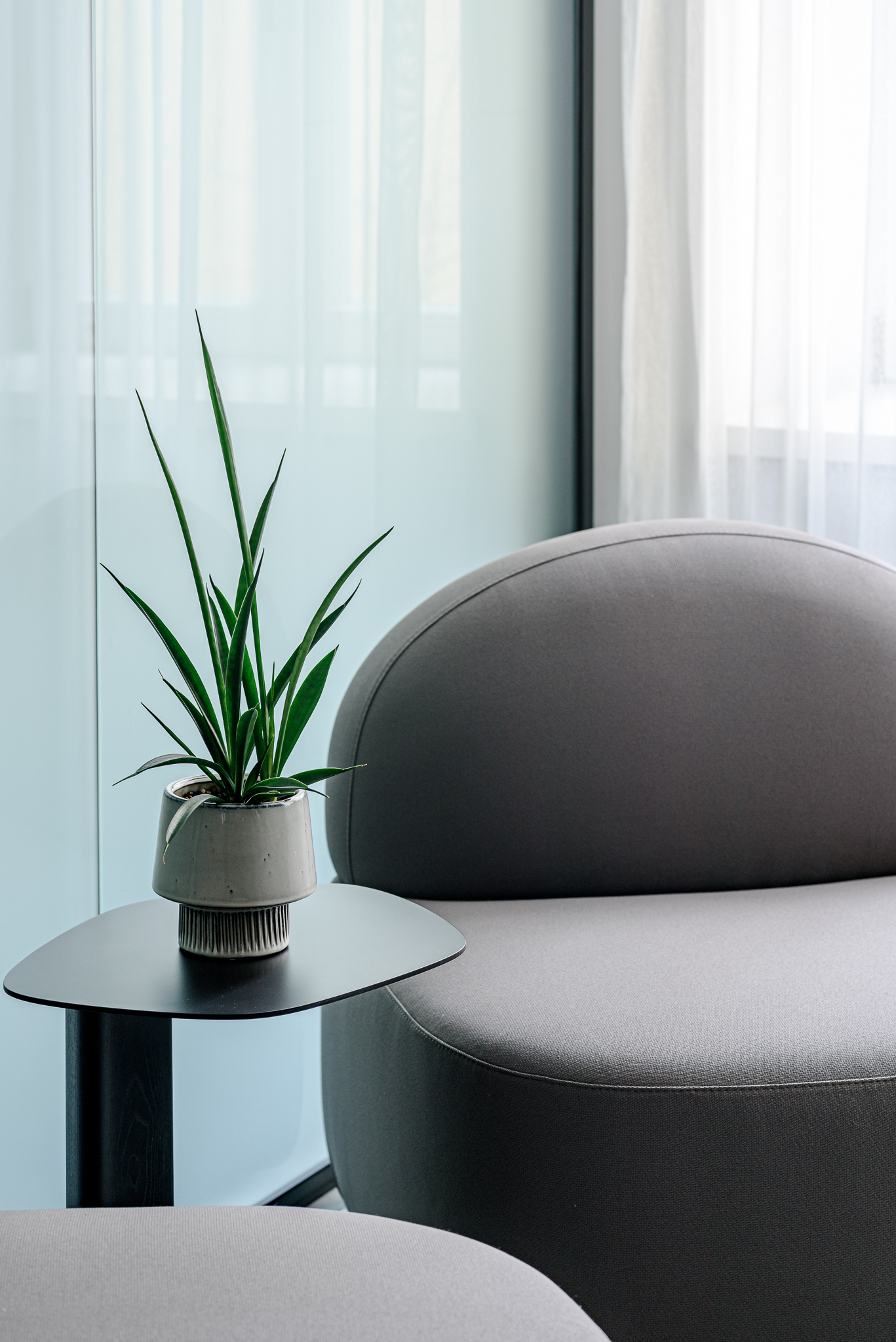  An extraordinary investment in the heart of Vilnius - 物件實景