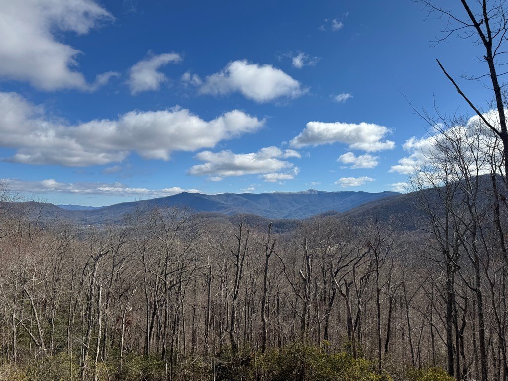 Young Harris, Georgia, 30582, United States, 3 Bedrooms Bedrooms, ,2 BathroomsBathrooms,Residential,For Sale,2010979