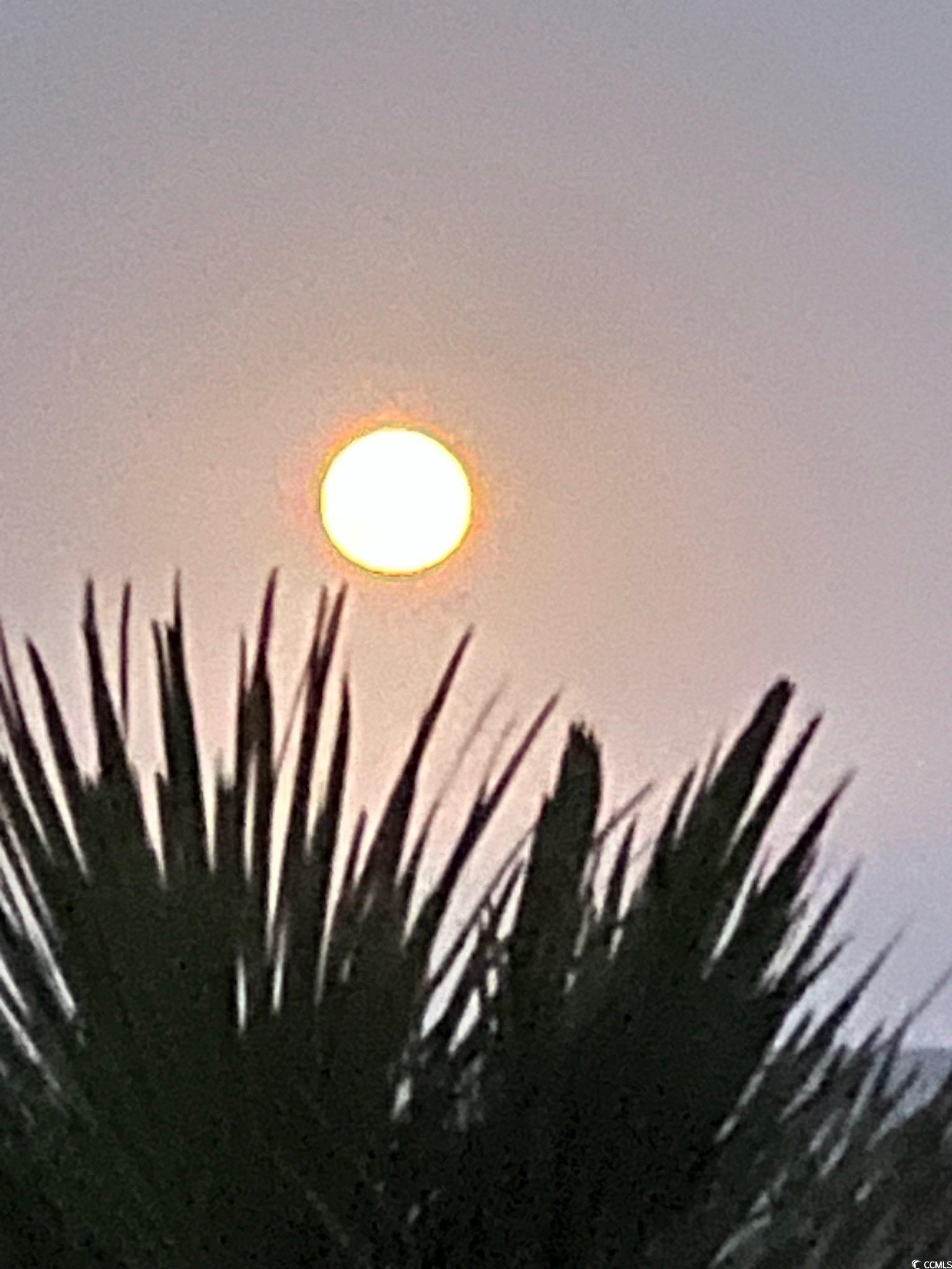  81 Ocean Green Dr.  DeBordieu Colony - 物件實景