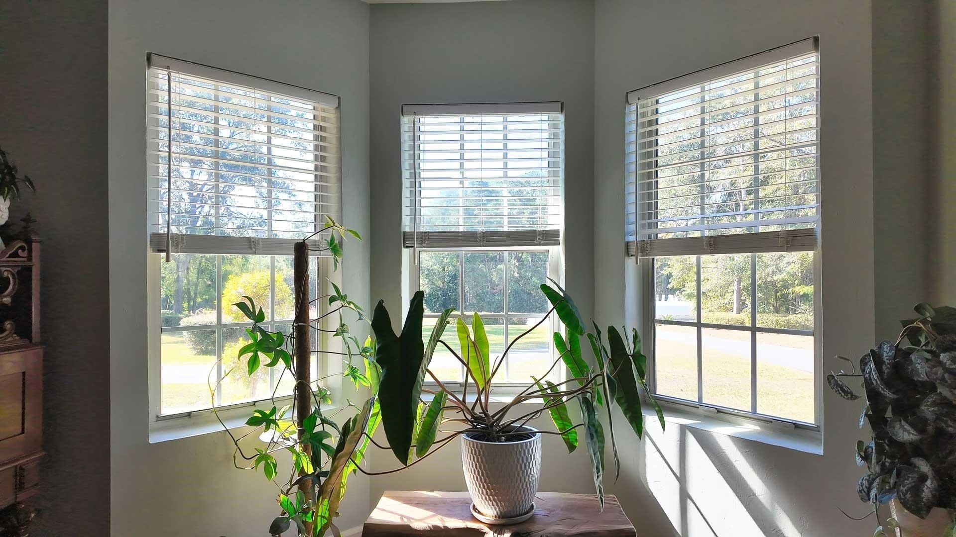 Monticello, Florida, 32344, United States, 3 Bedrooms Bedrooms, ,3 BathroomsBathrooms,Residential,For Sale,1987417