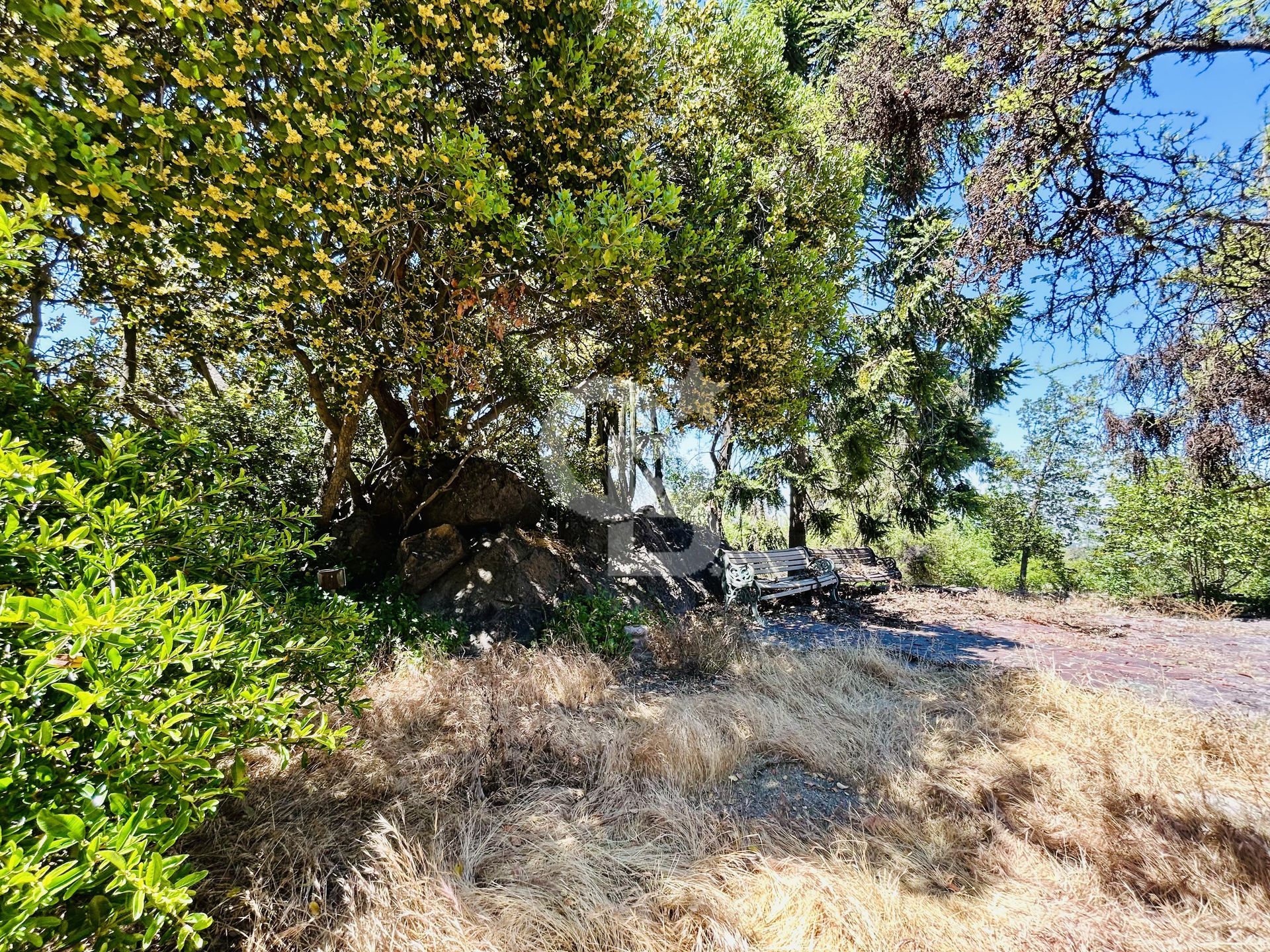 Vitacura, Chile, 4 Bedrooms Bedrooms, ,4 BathroomsBathrooms,Land,For Sale,1998836