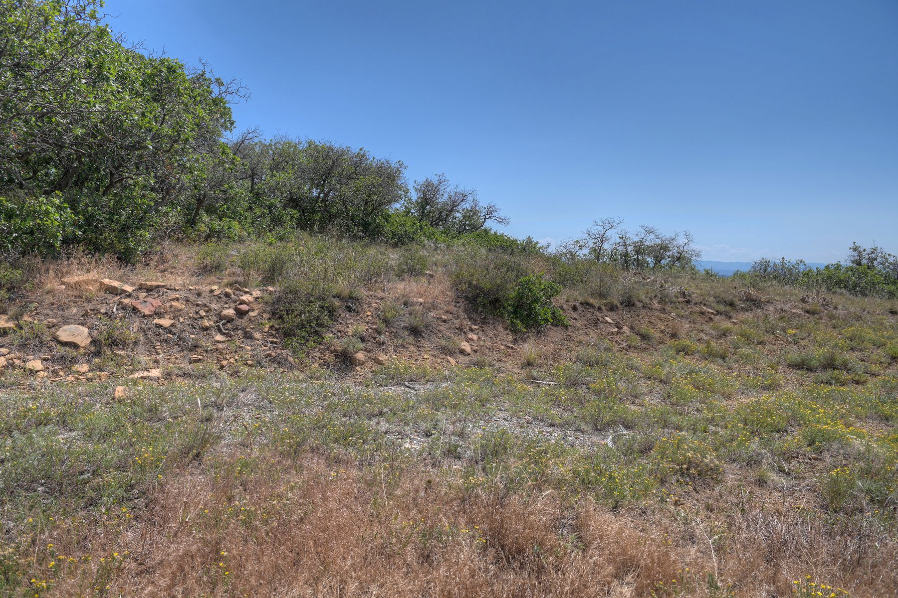  TBD Cross Creek Road, Hesperus, CO 81326 - 物件實景
