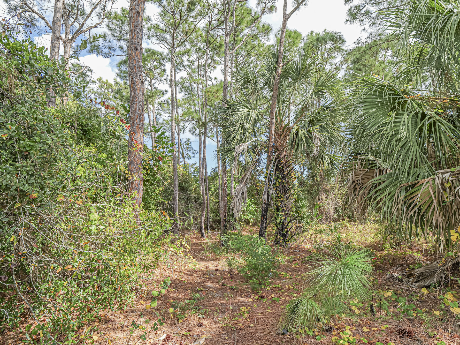  110 Marsh Street, Sebastian, FL, 32958 - 物件實景