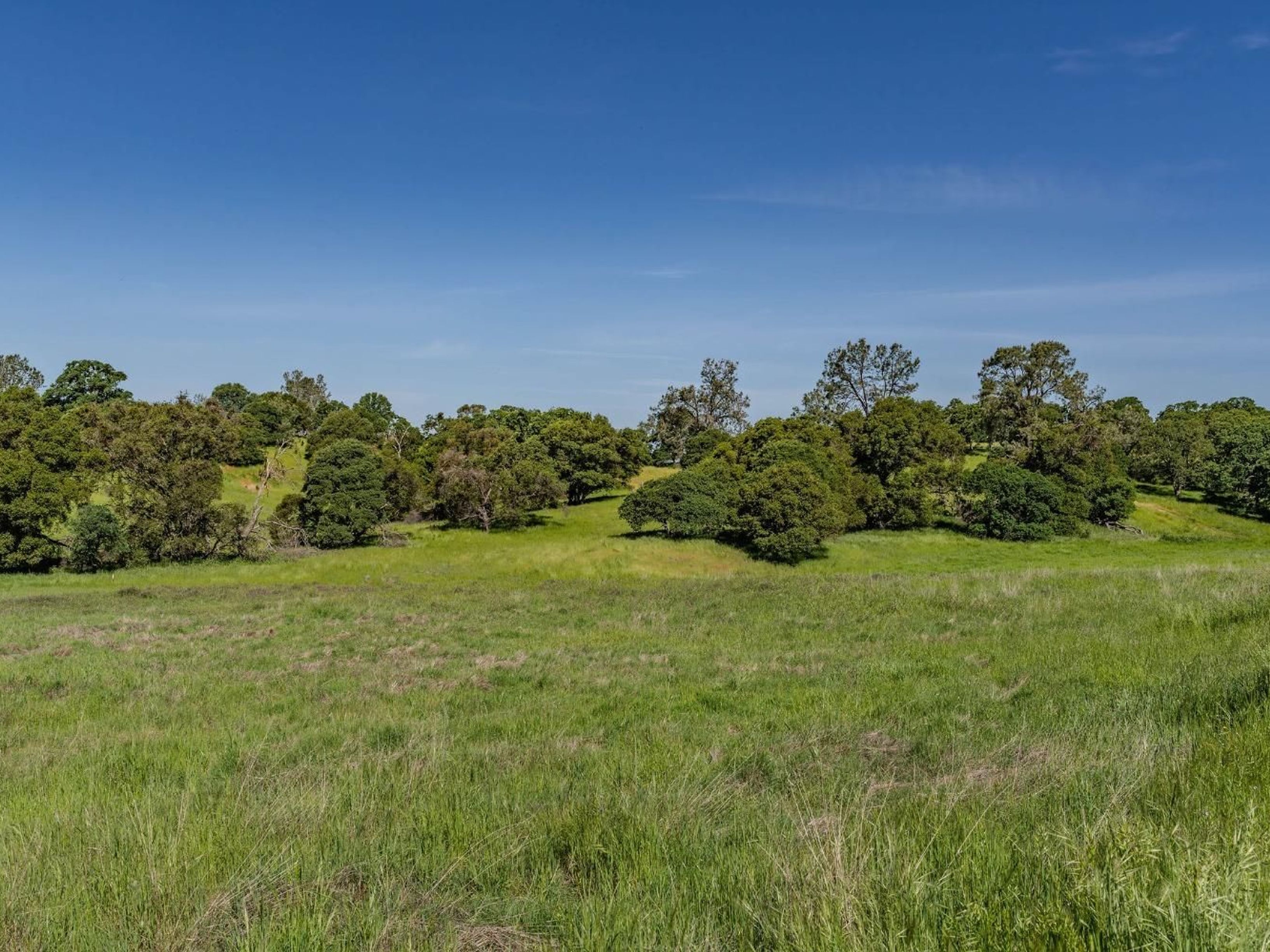  10865 Sunset Drive, Sutter Creek, CA 95685 - 物件實景