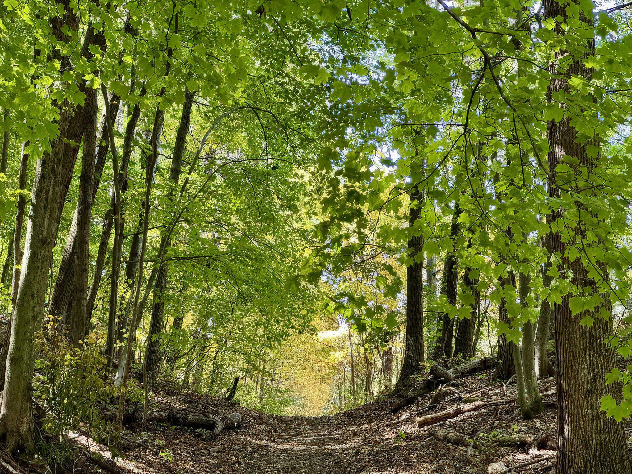 Branch, Michigan, 49402, United States, 1 Bedroom Bedrooms, ,1 BathroomBathrooms,Residential,For Sale,2001233