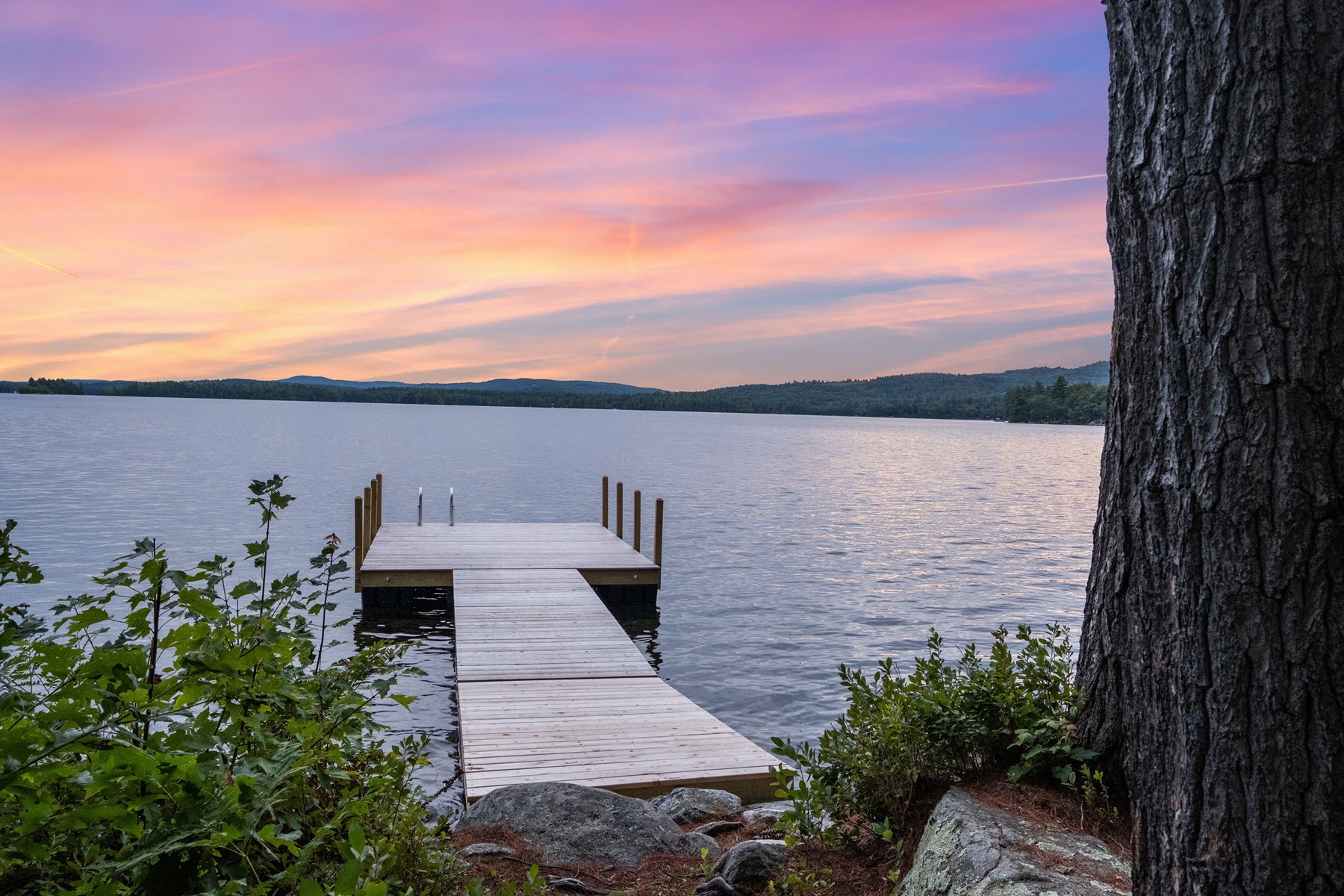  294 Pinehurst Road - 物件實景